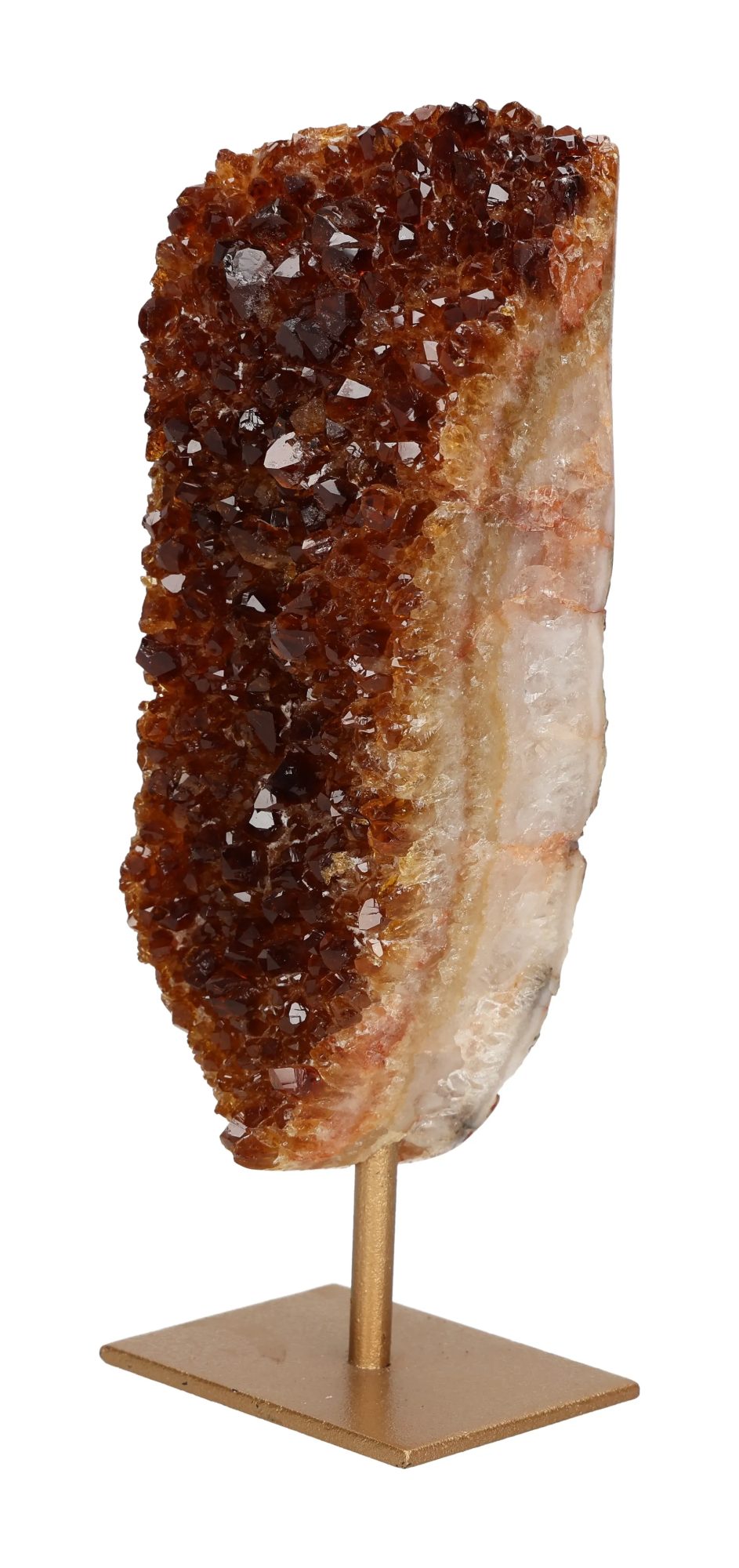 orbitvu|type:image2d