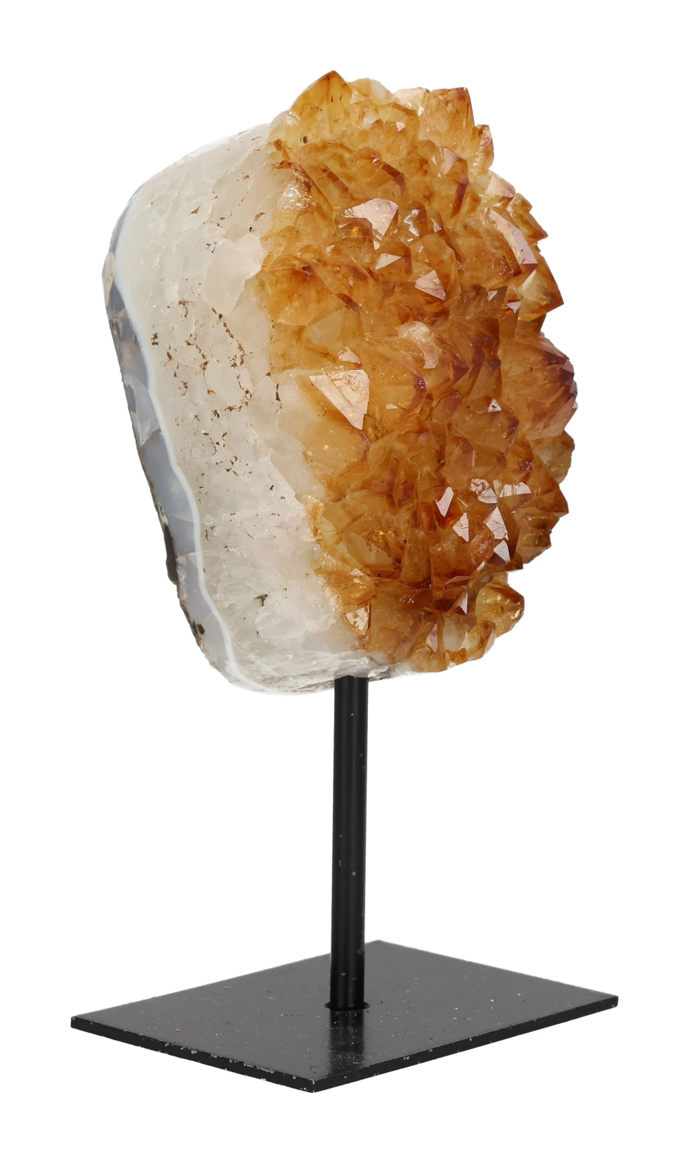 orbitvu|type:image2d