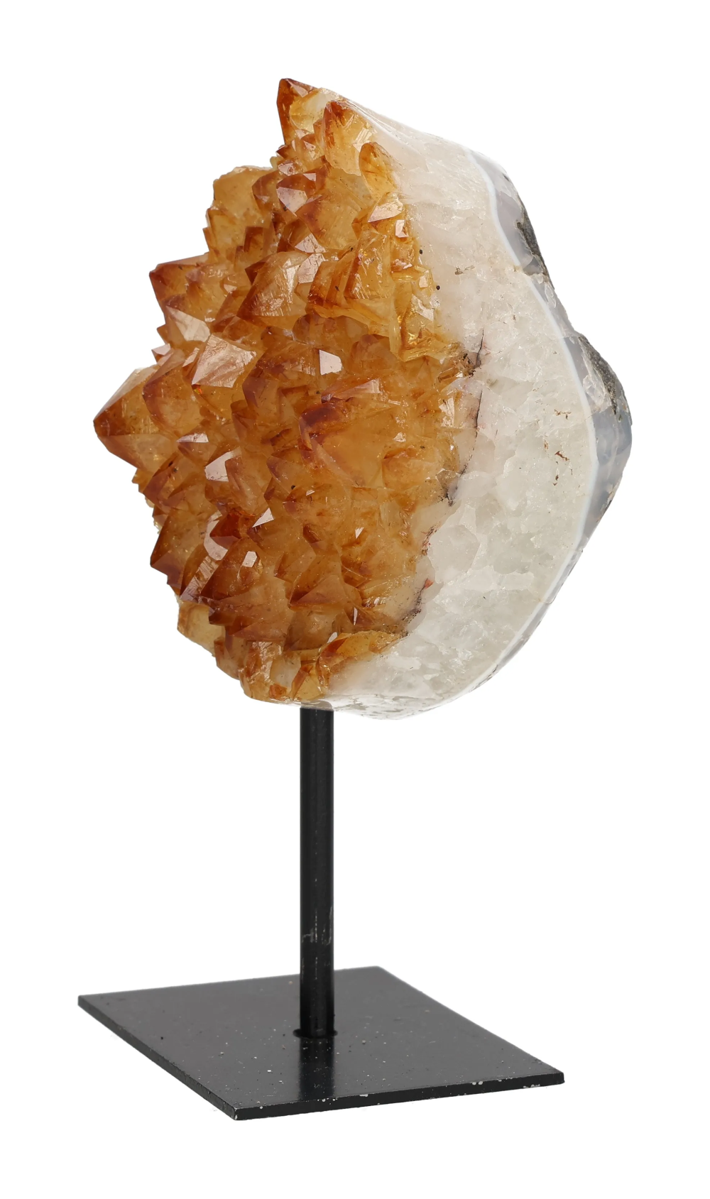 orbitvu|type:image2d