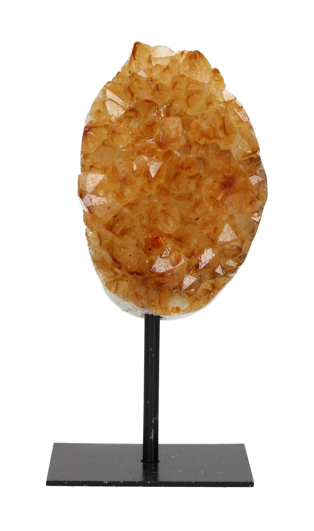 orbitvu|type:image2d