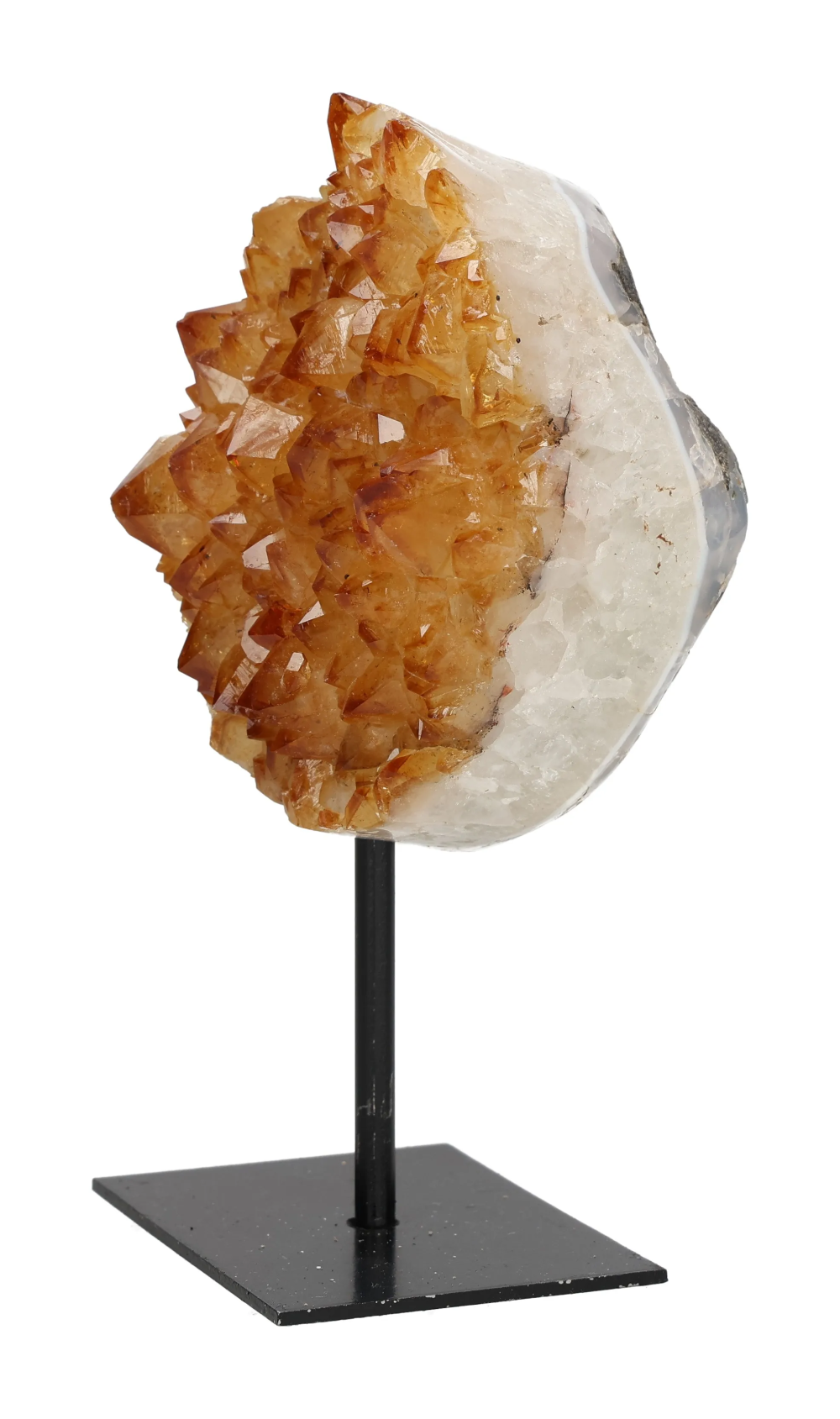 orbitvu|type:image2d