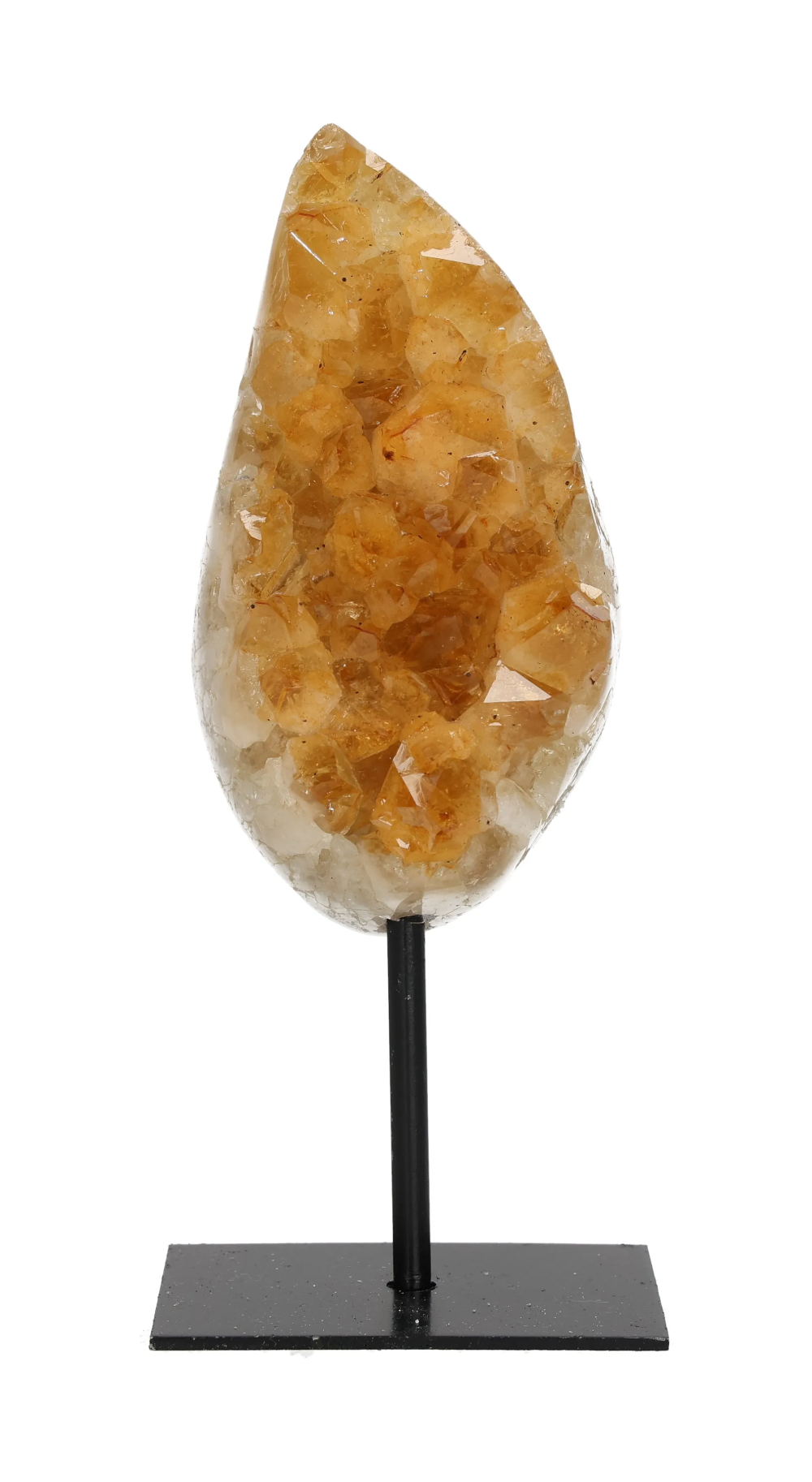 orbitvu|type:image2d