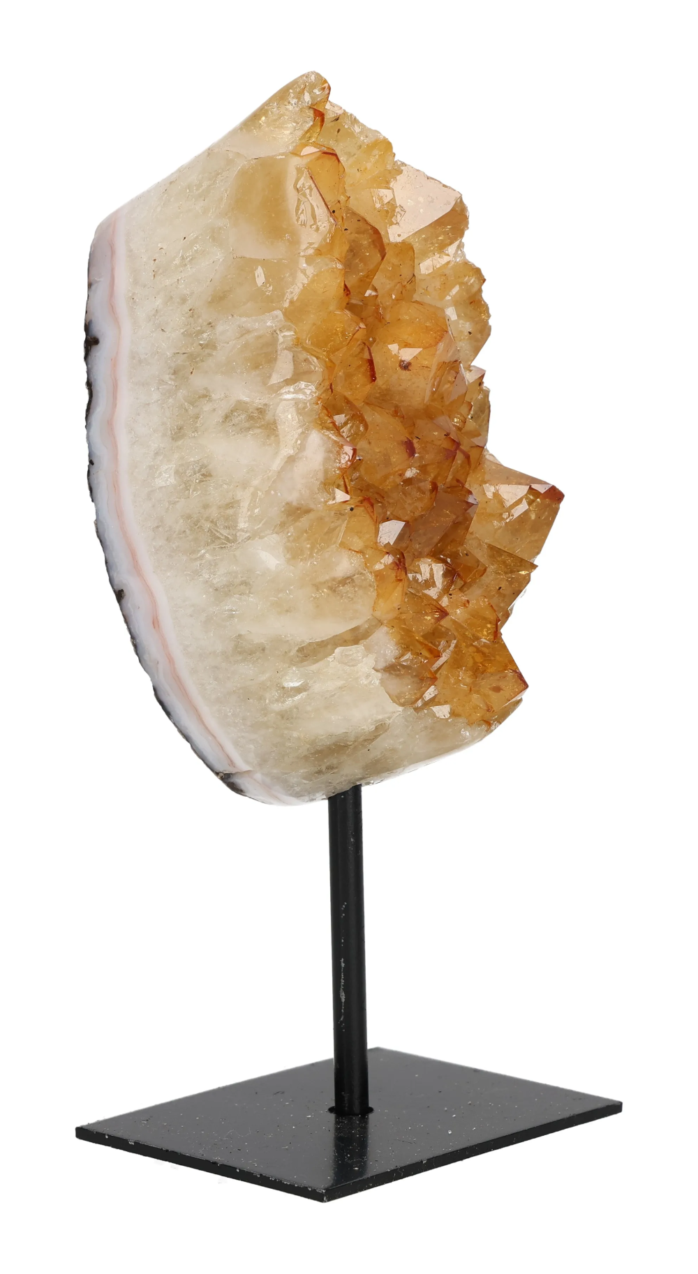 orbitvu|type:image2d