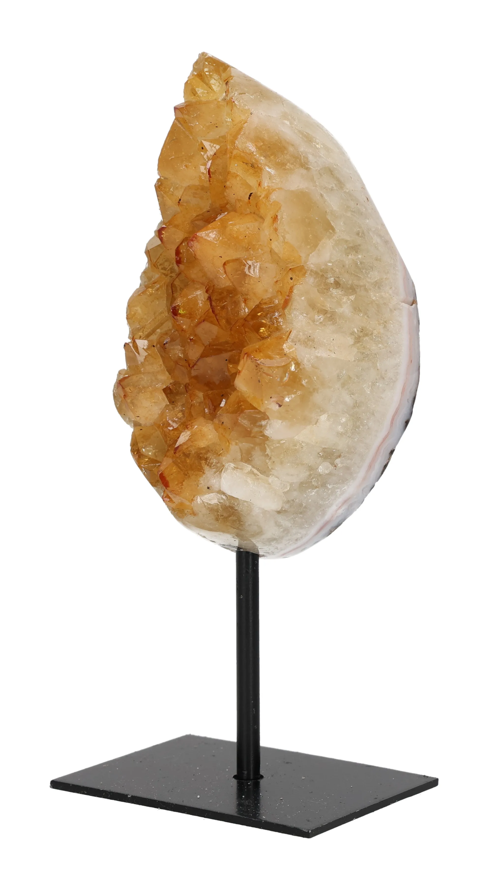 orbitvu|type:image2d