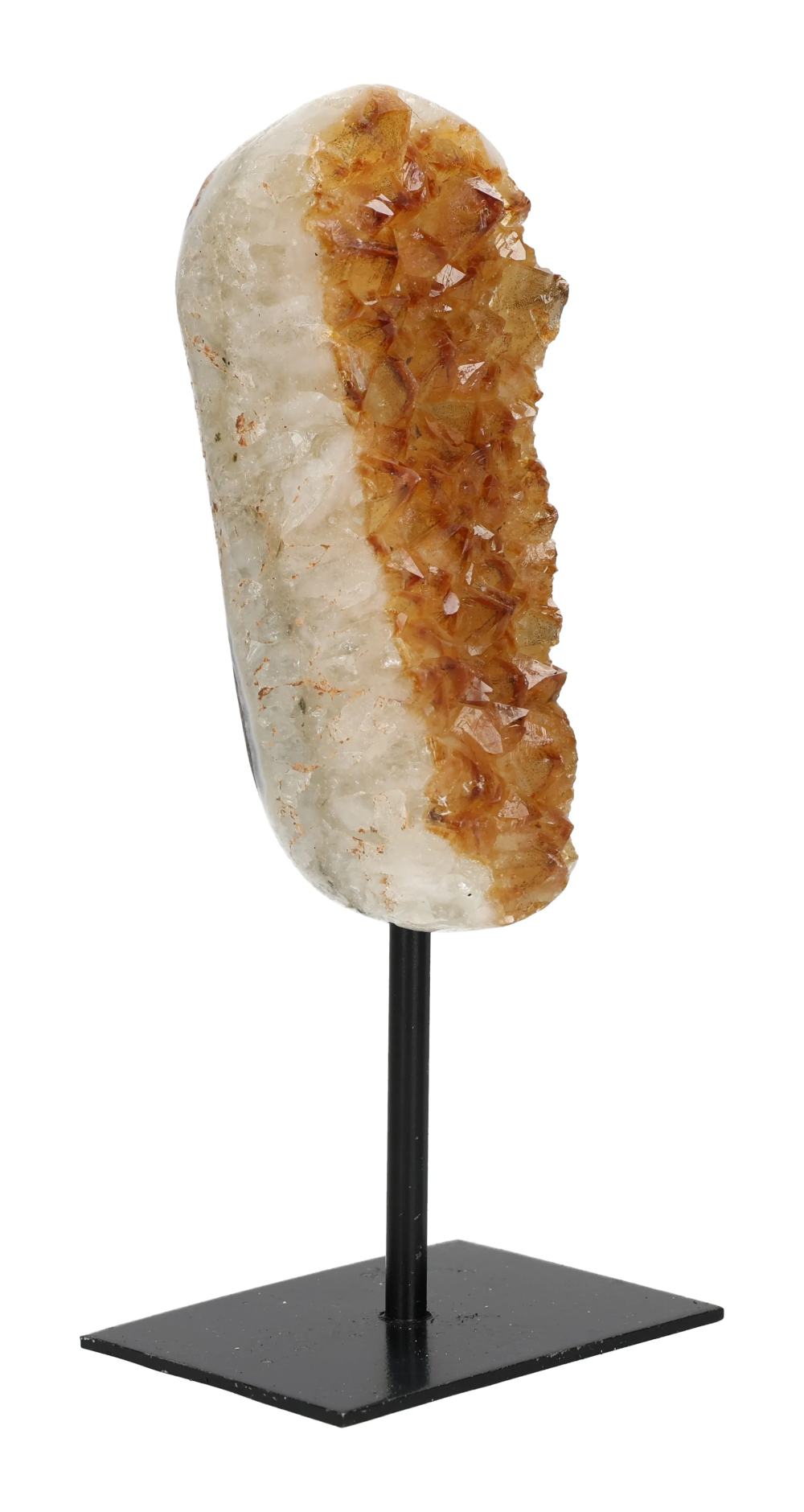 orbitvu|type:image2d