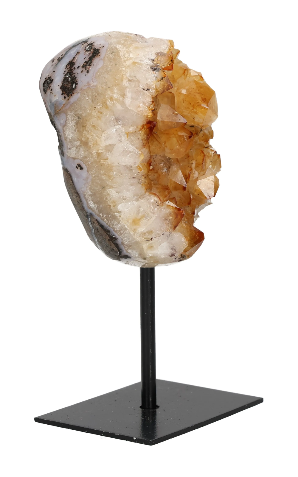 orbitvu|type:image2d