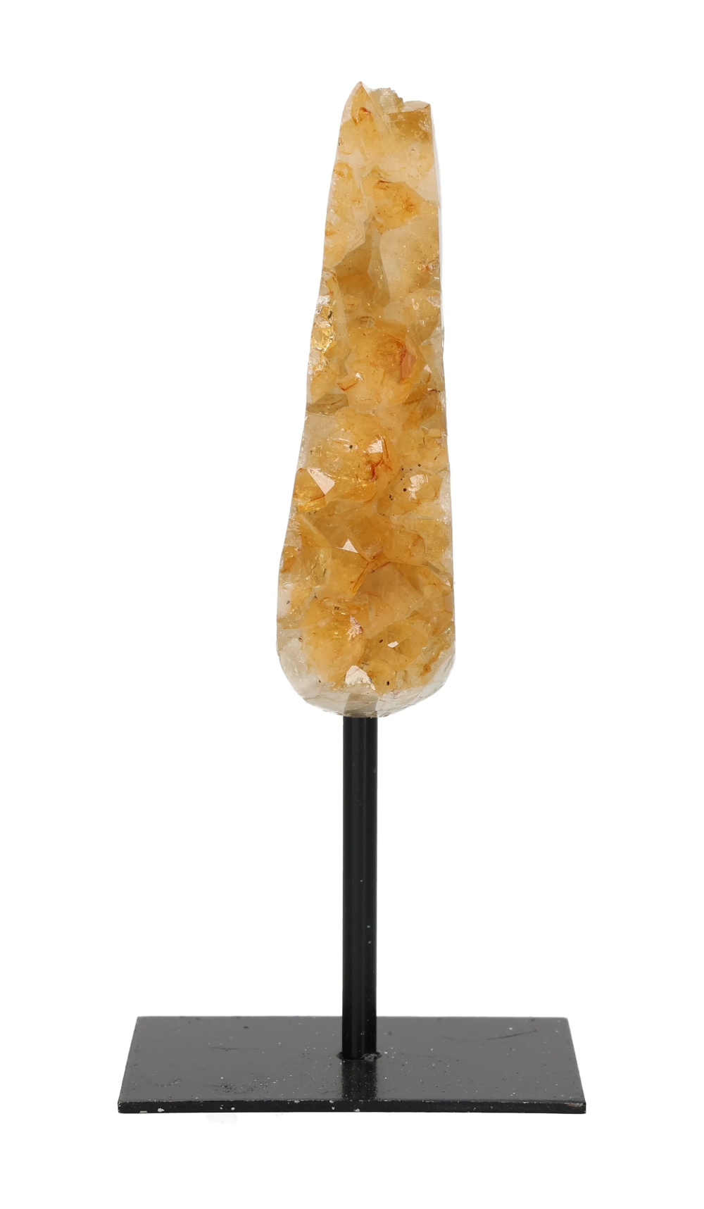 orbitvu|type:image2d