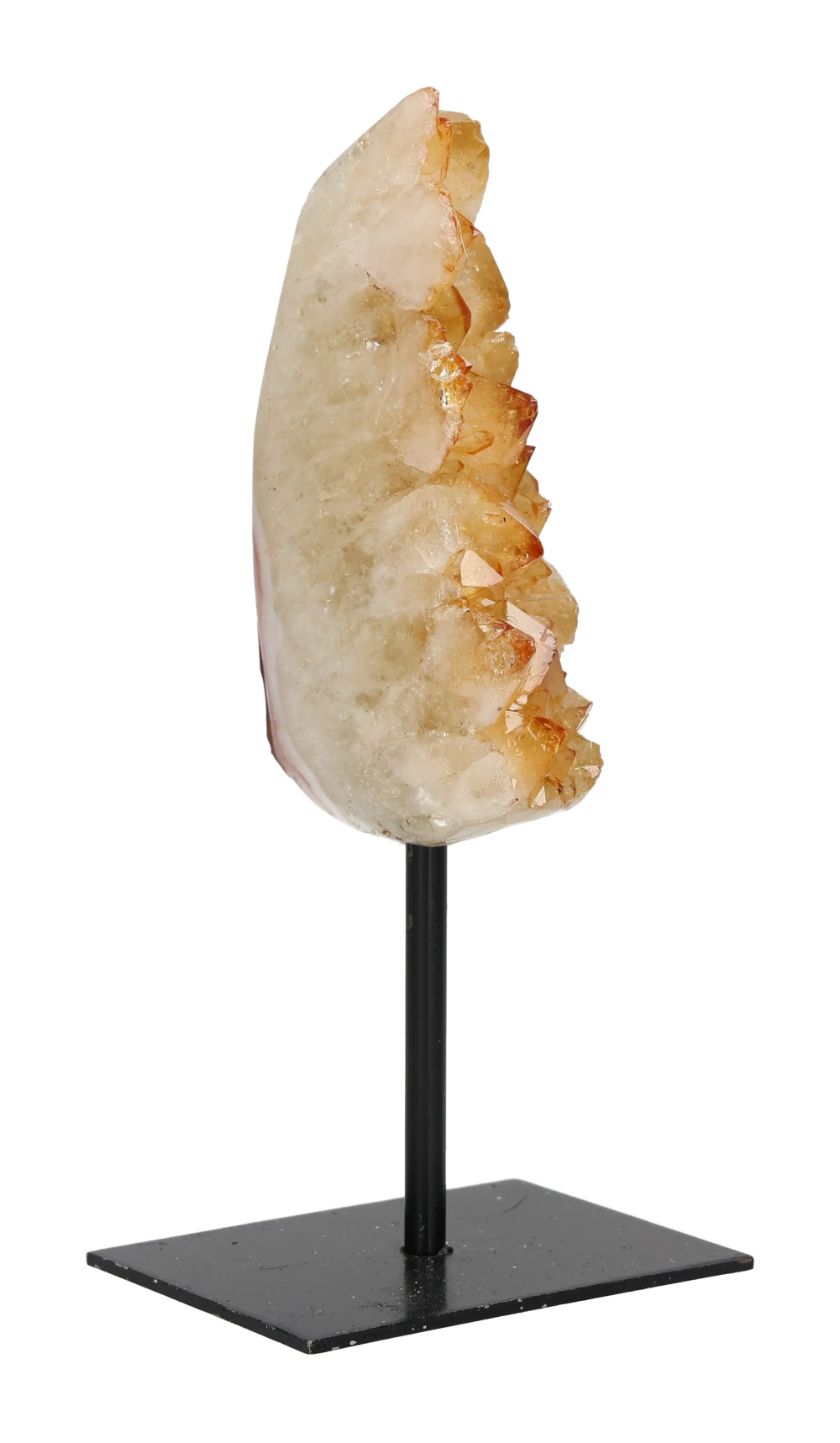 orbitvu|type:image2d