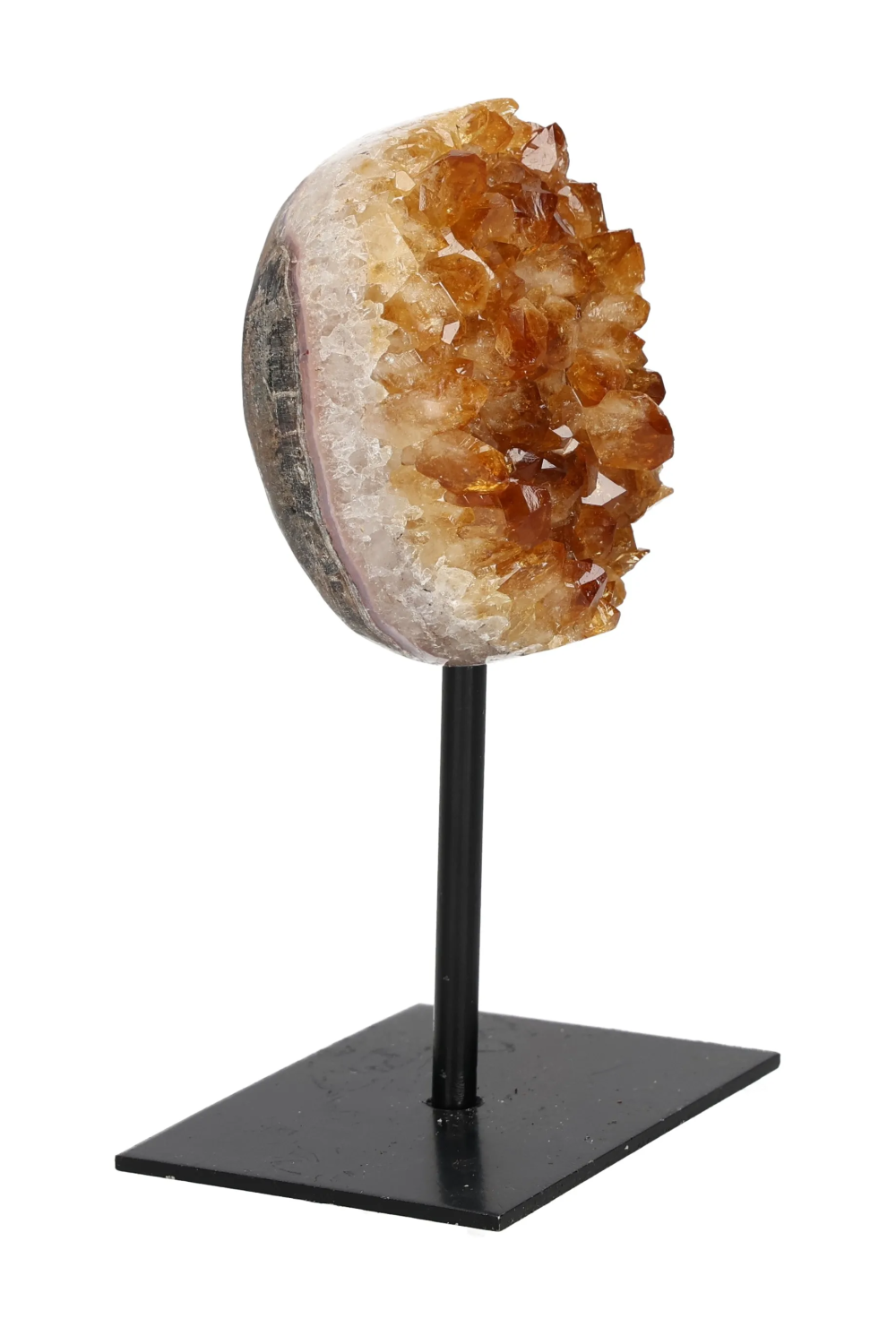 orbitvu|type:image2d