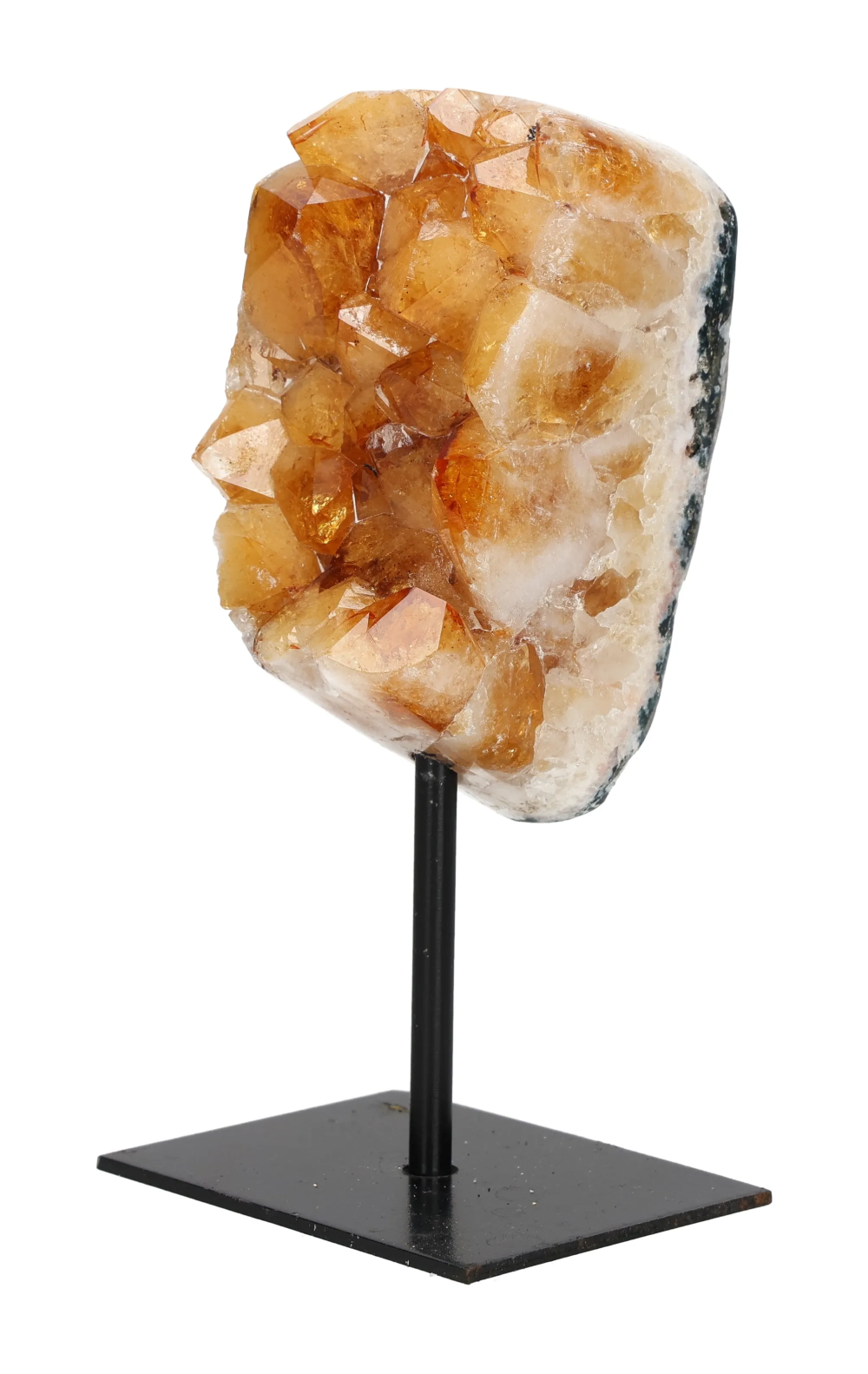 orbitvu|type:image2d