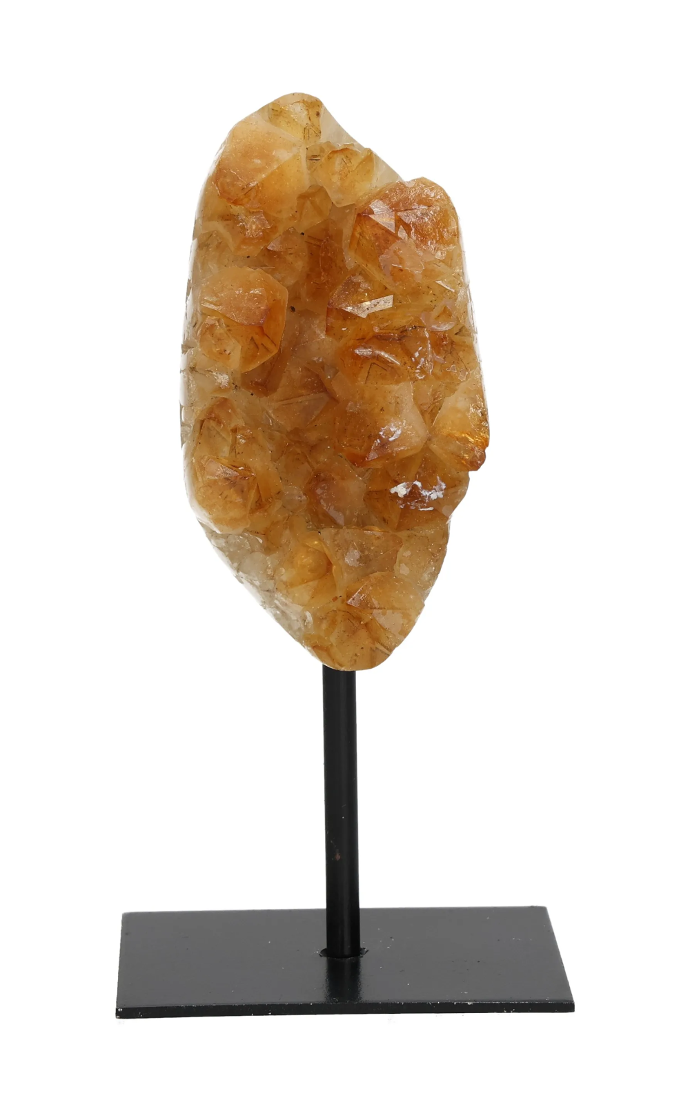 orbitvu|type:image2d