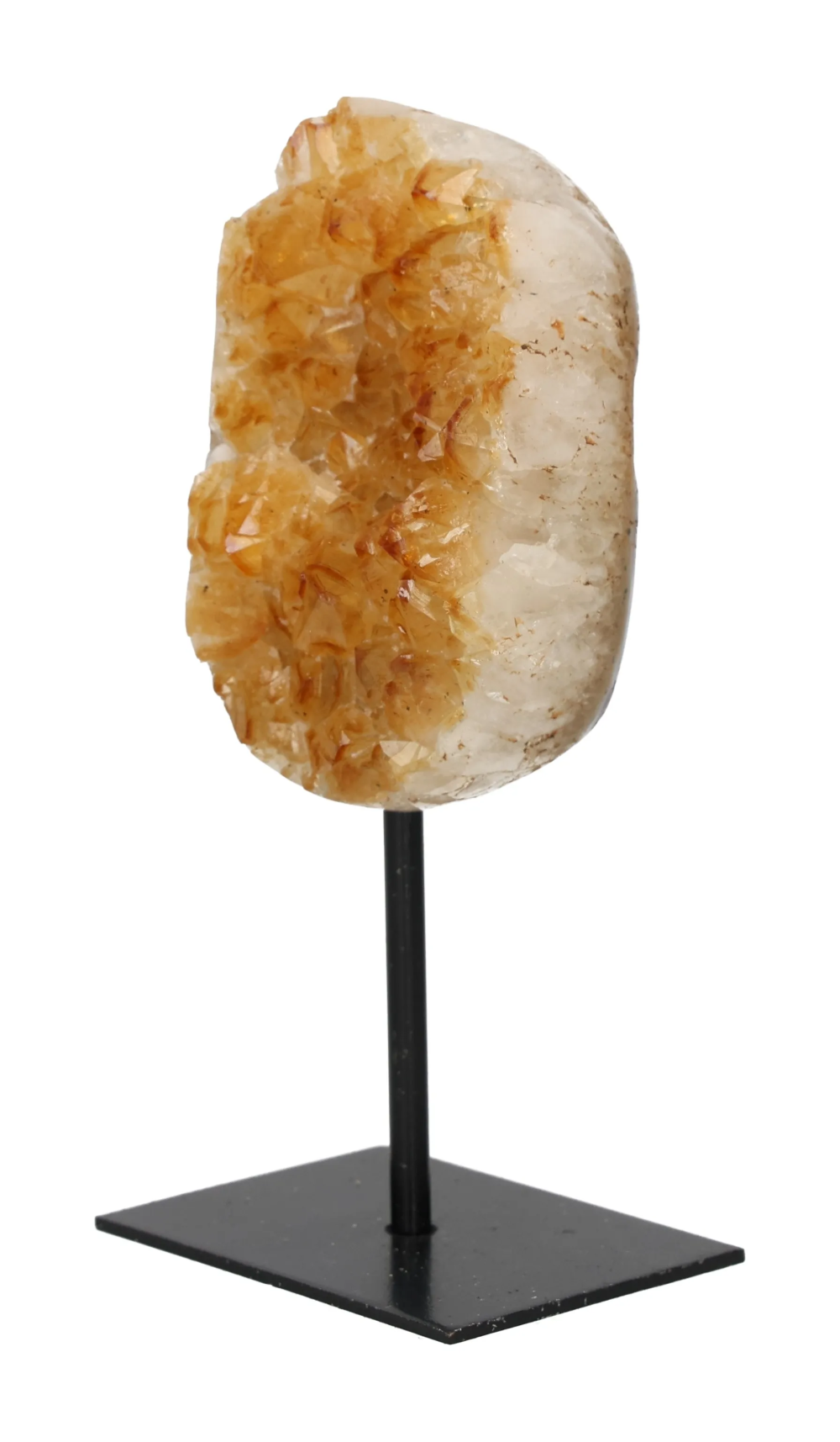 orbitvu|type:image2d