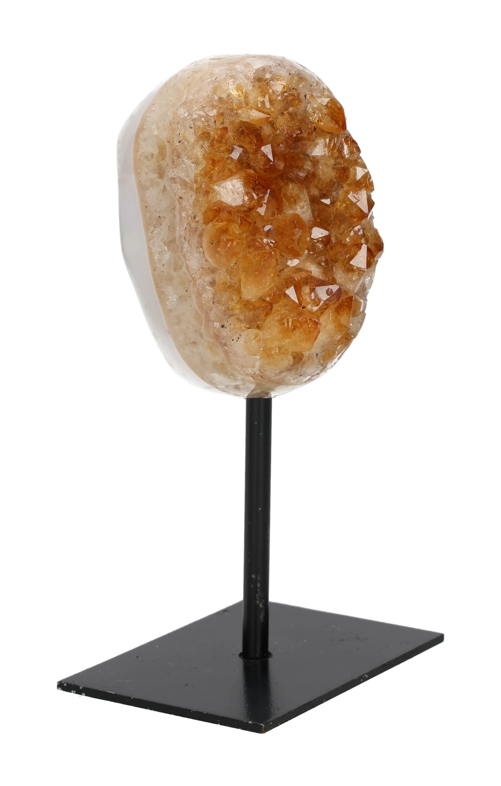 orbitvu|type:image2d