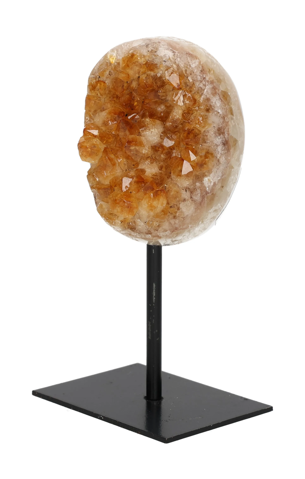 orbitvu|type:image2d