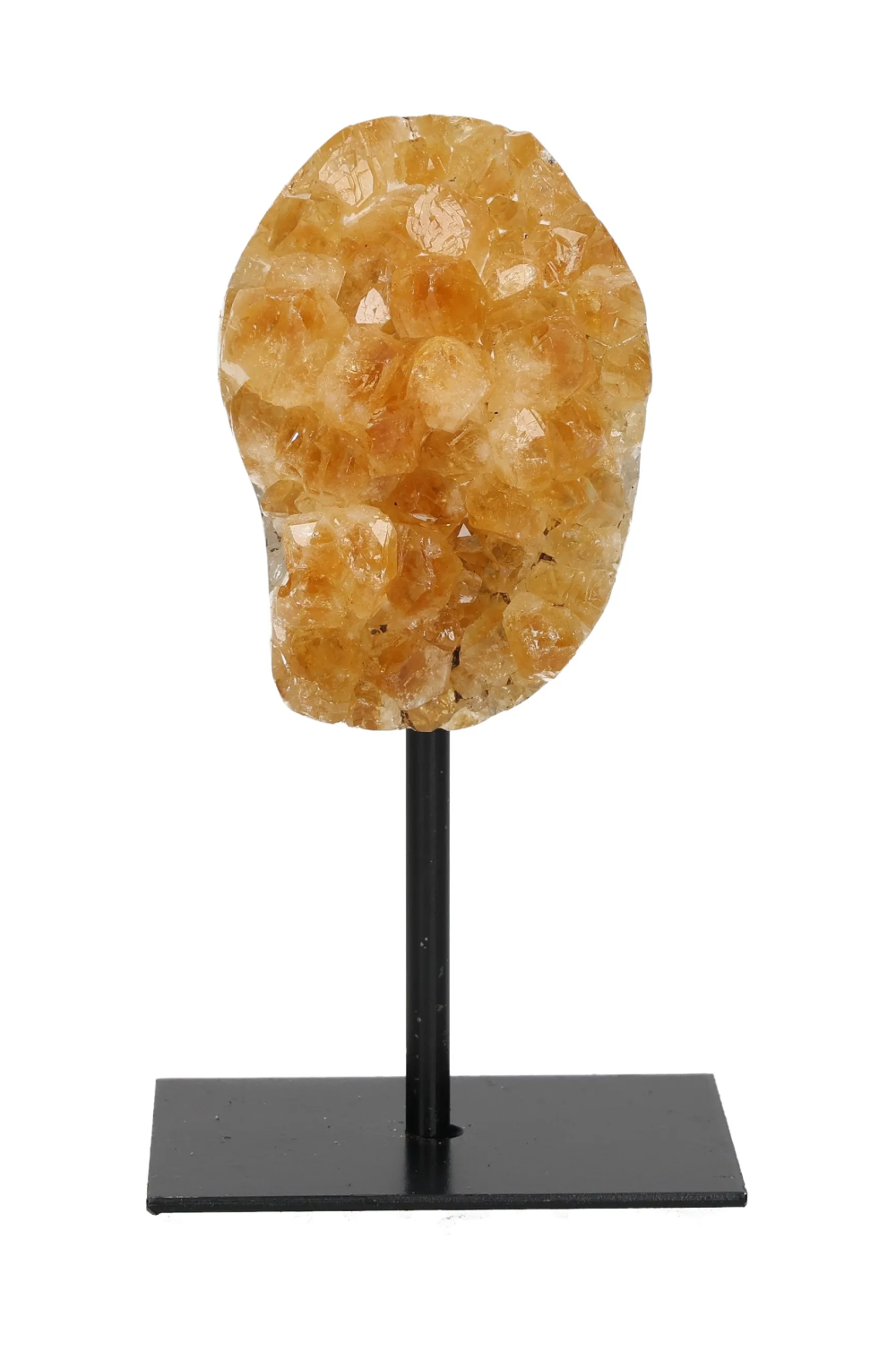 orbitvu|type:image2d