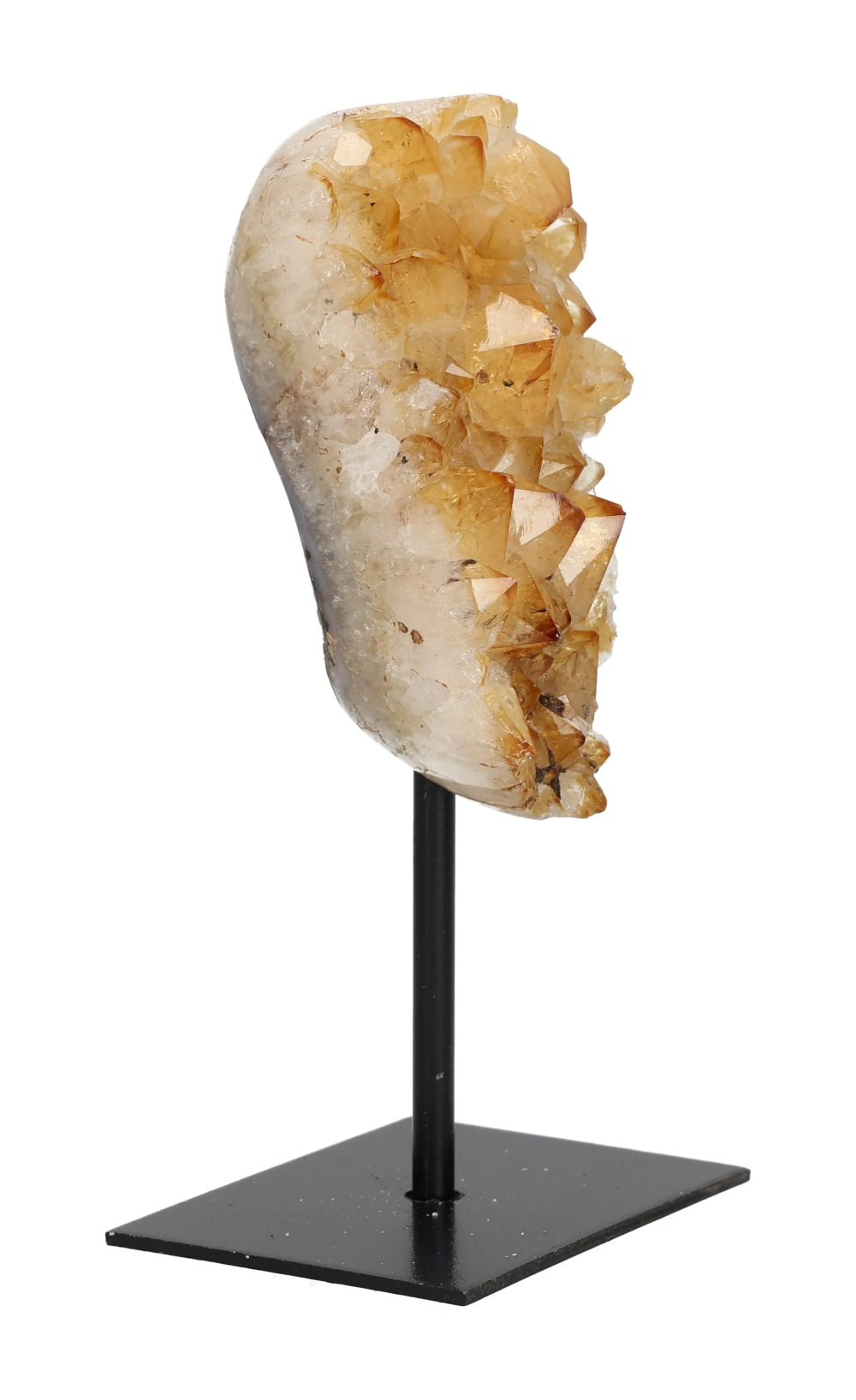 orbitvu|type:image2d