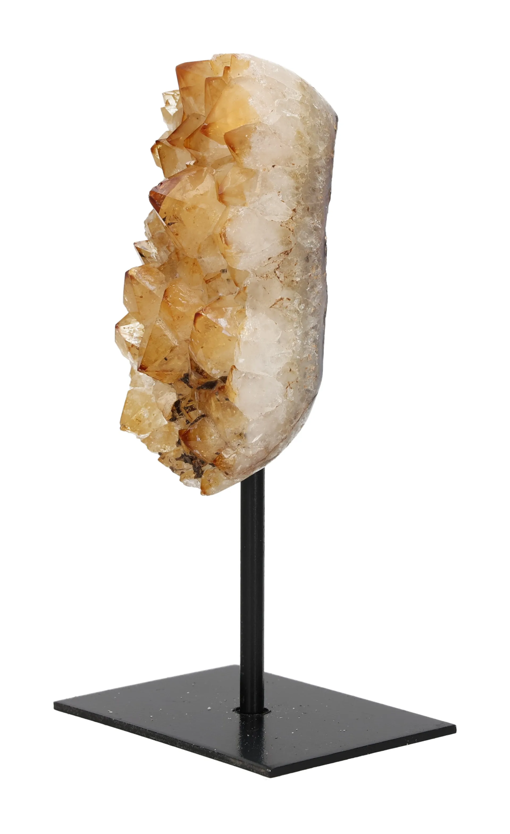 orbitvu|type:image2d