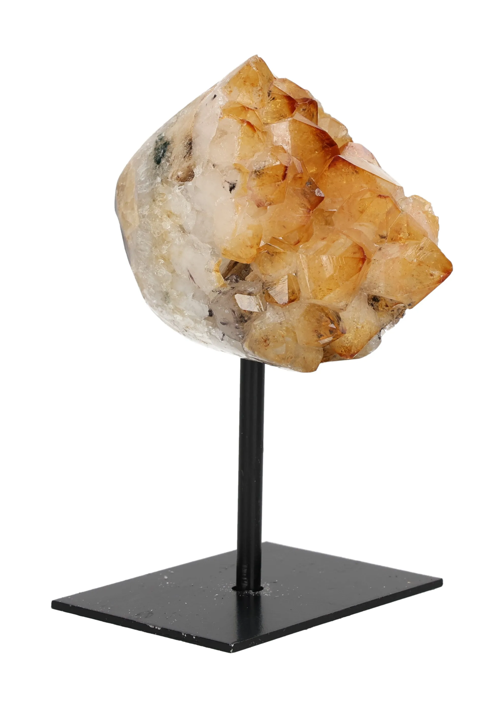 orbitvu|type:image2d