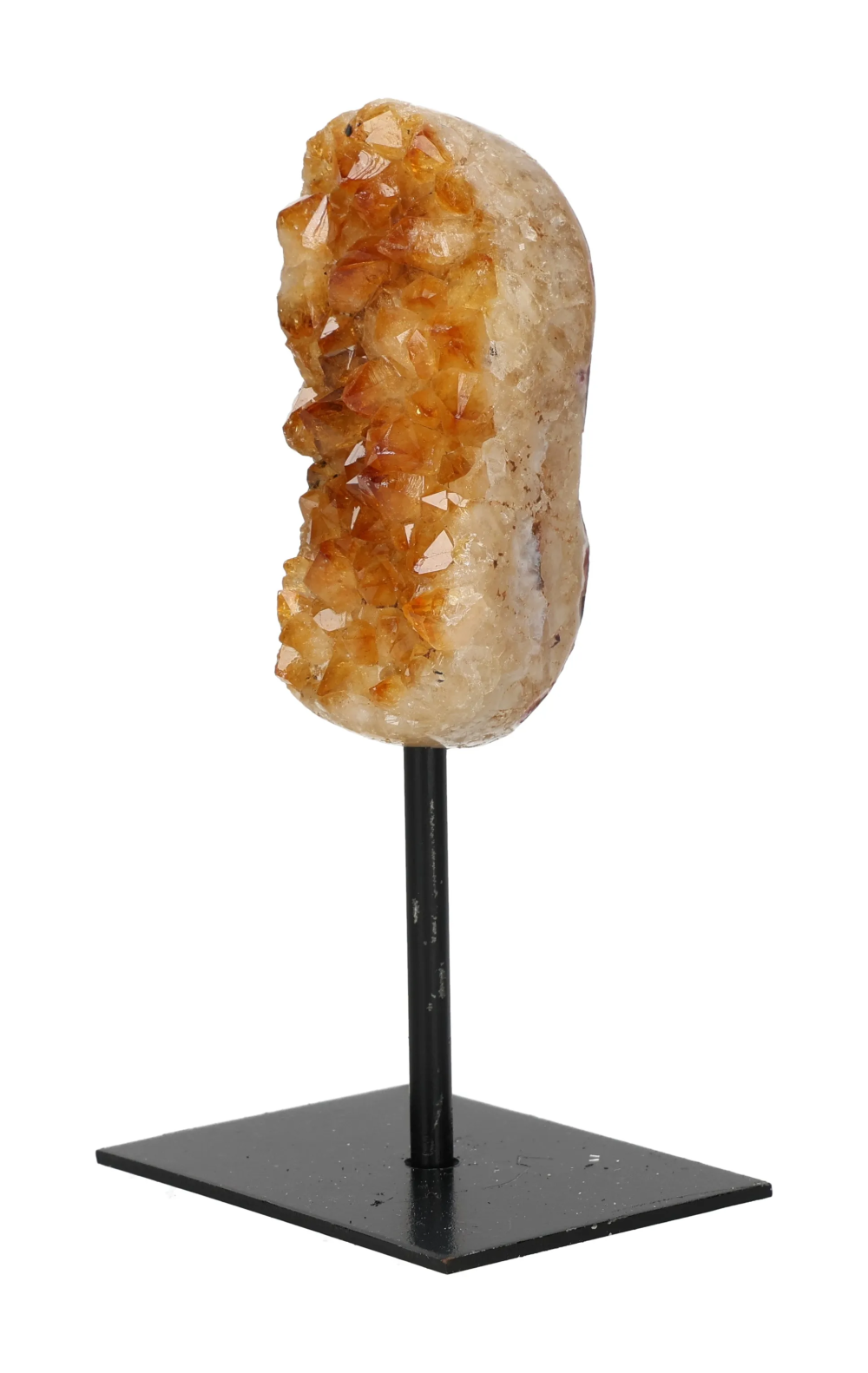 orbitvu|type:image2d