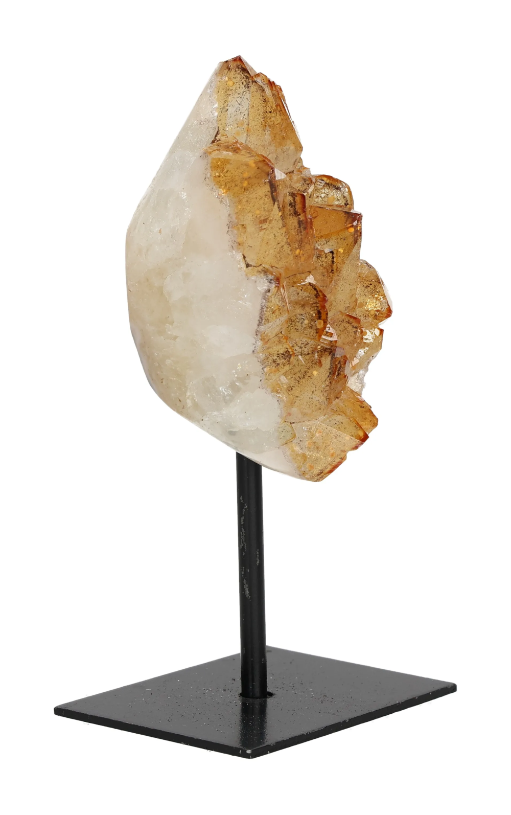 orbitvu|type:image2d