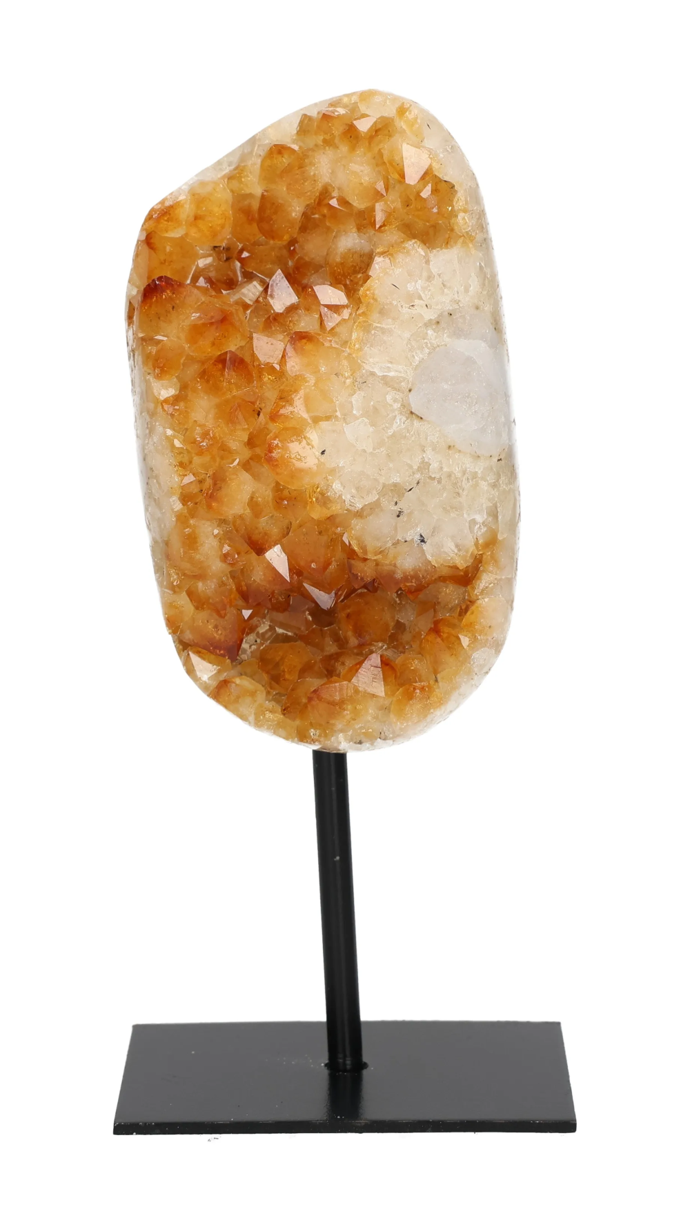 orbitvu|type:image2d