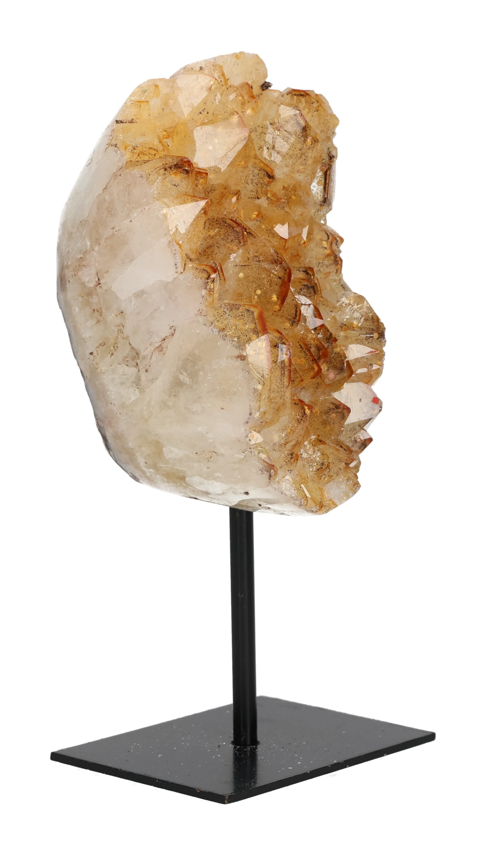 orbitvu|type:image2d