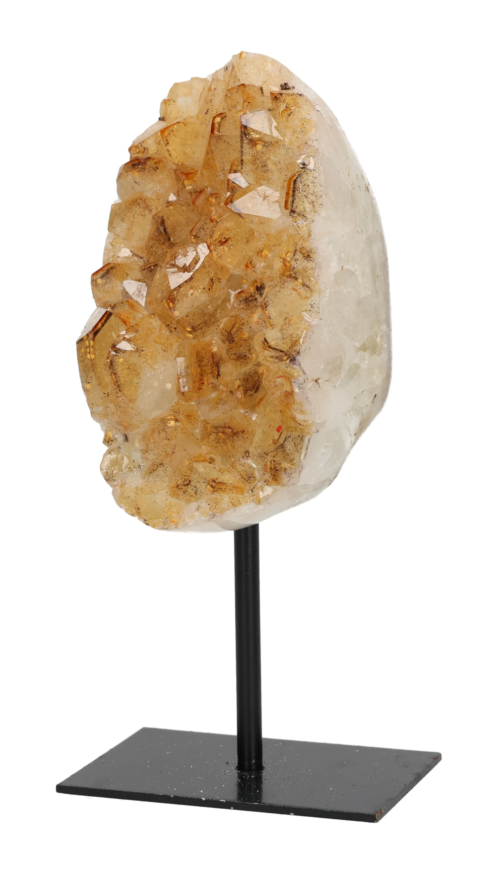 orbitvu|type:image2d