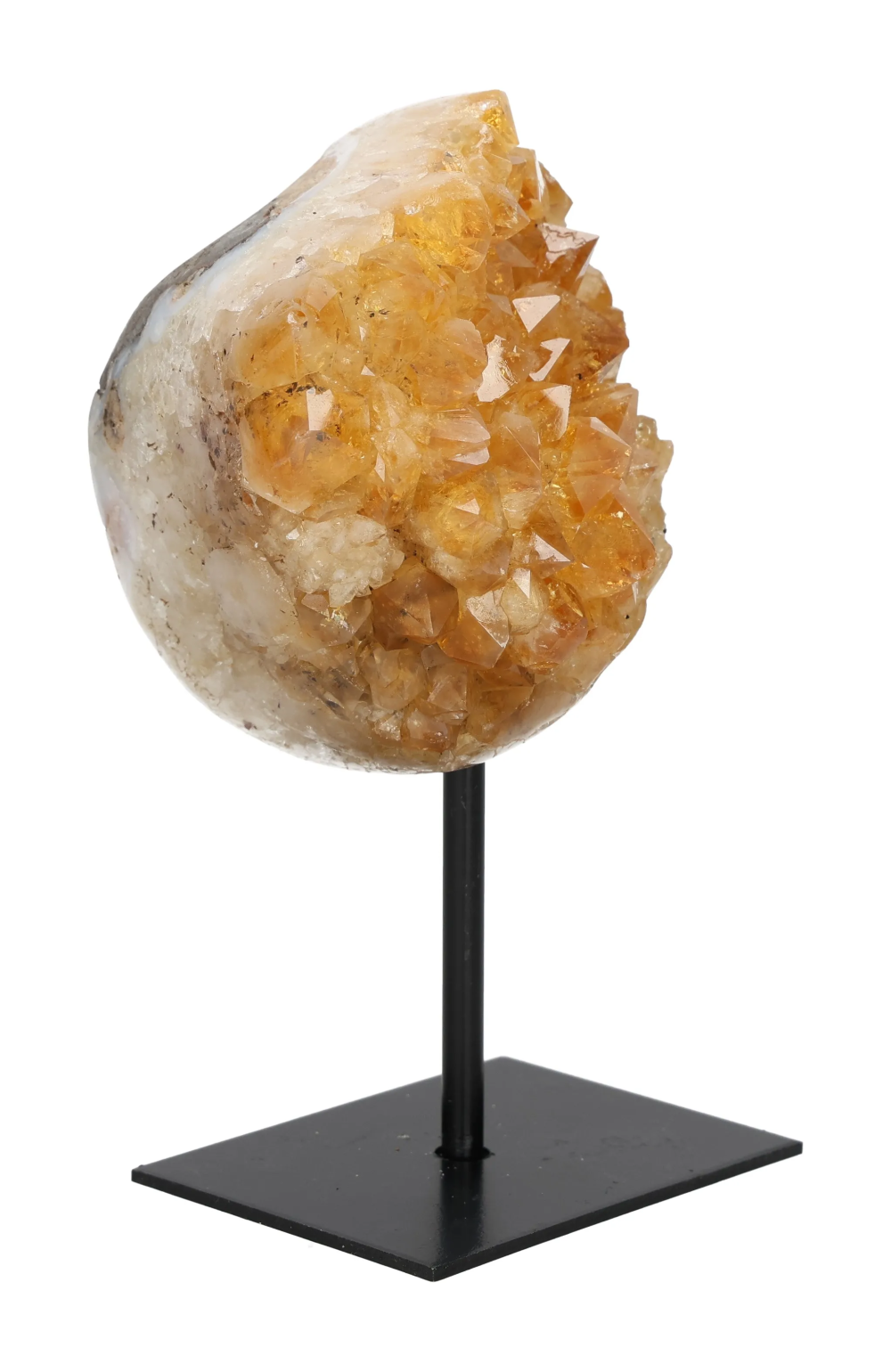 orbitvu|type:image2d