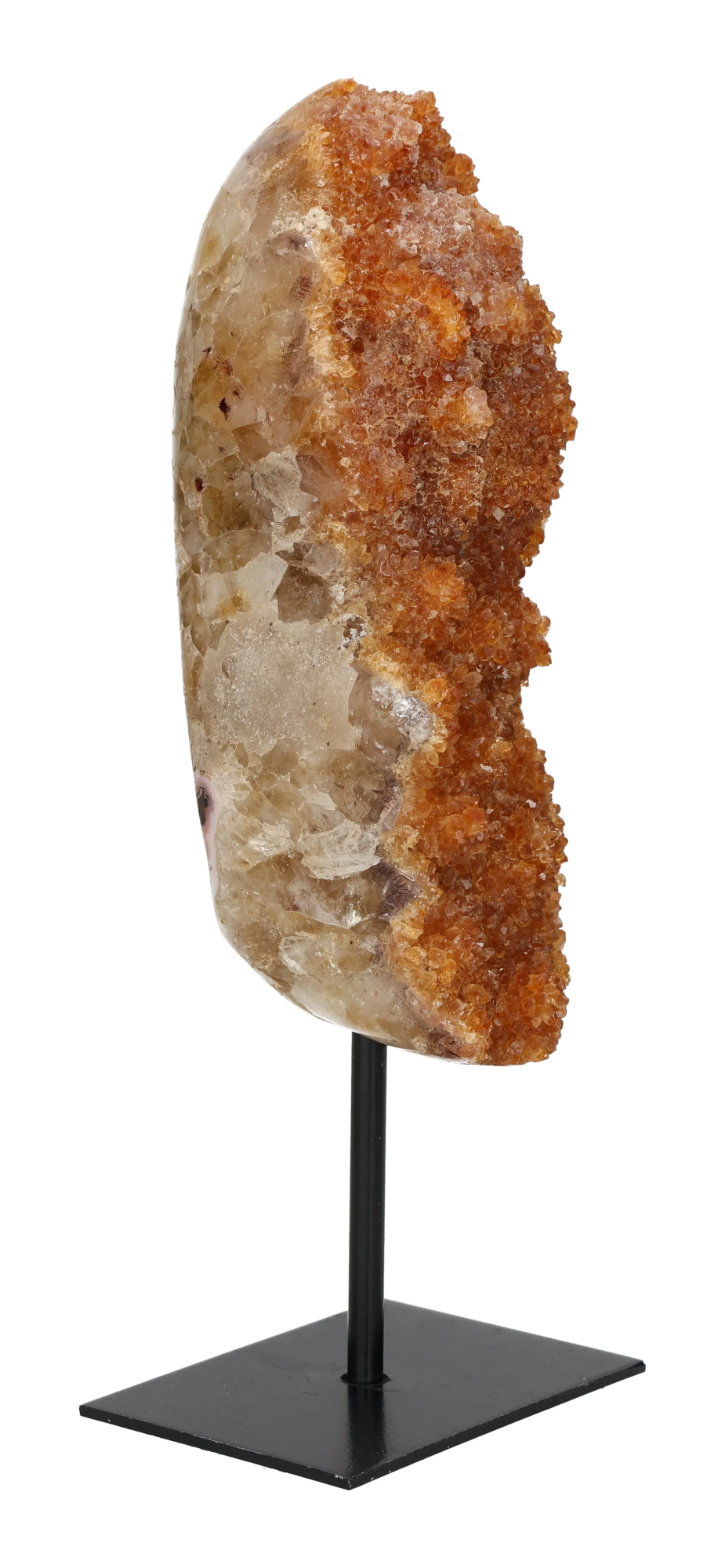 orbitvu|type:image2d