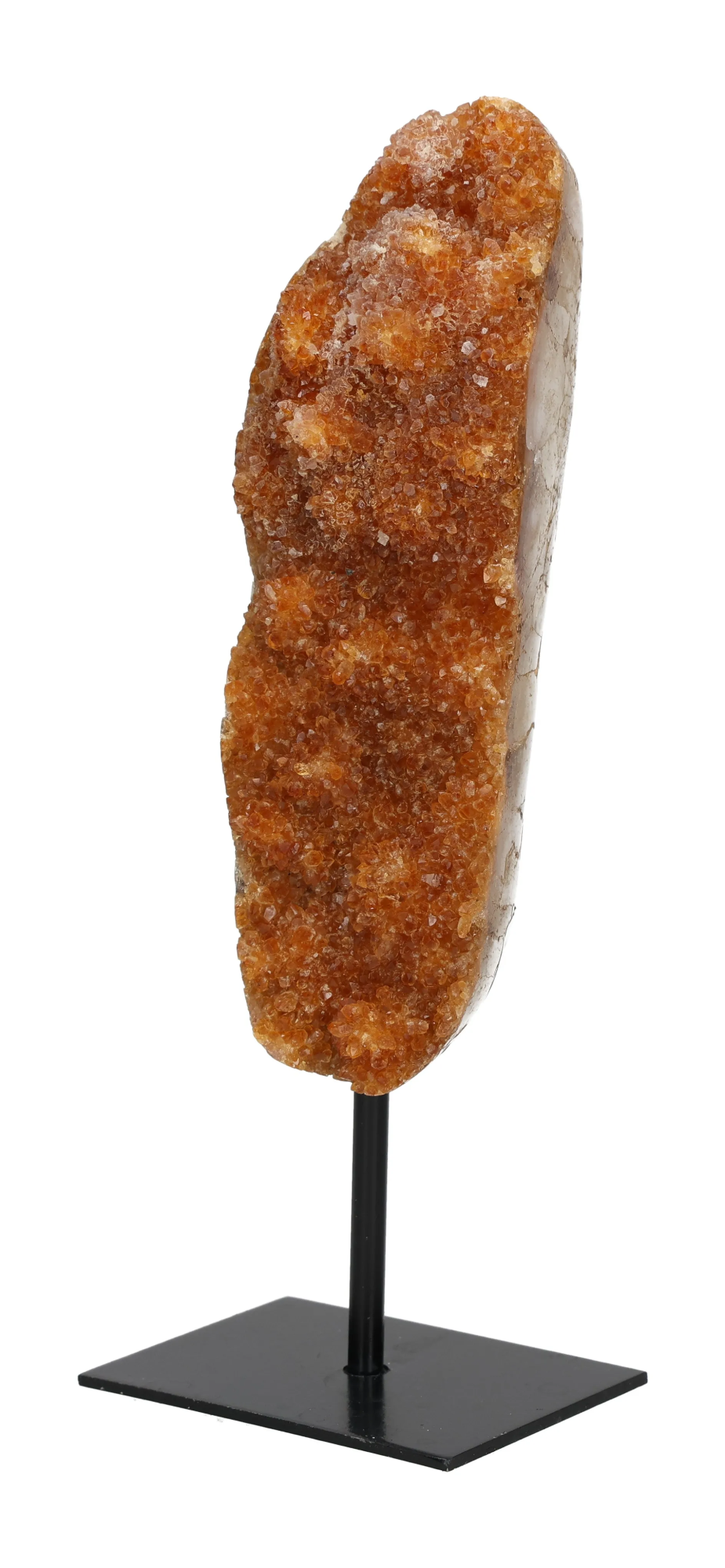 orbitvu|type:image2d