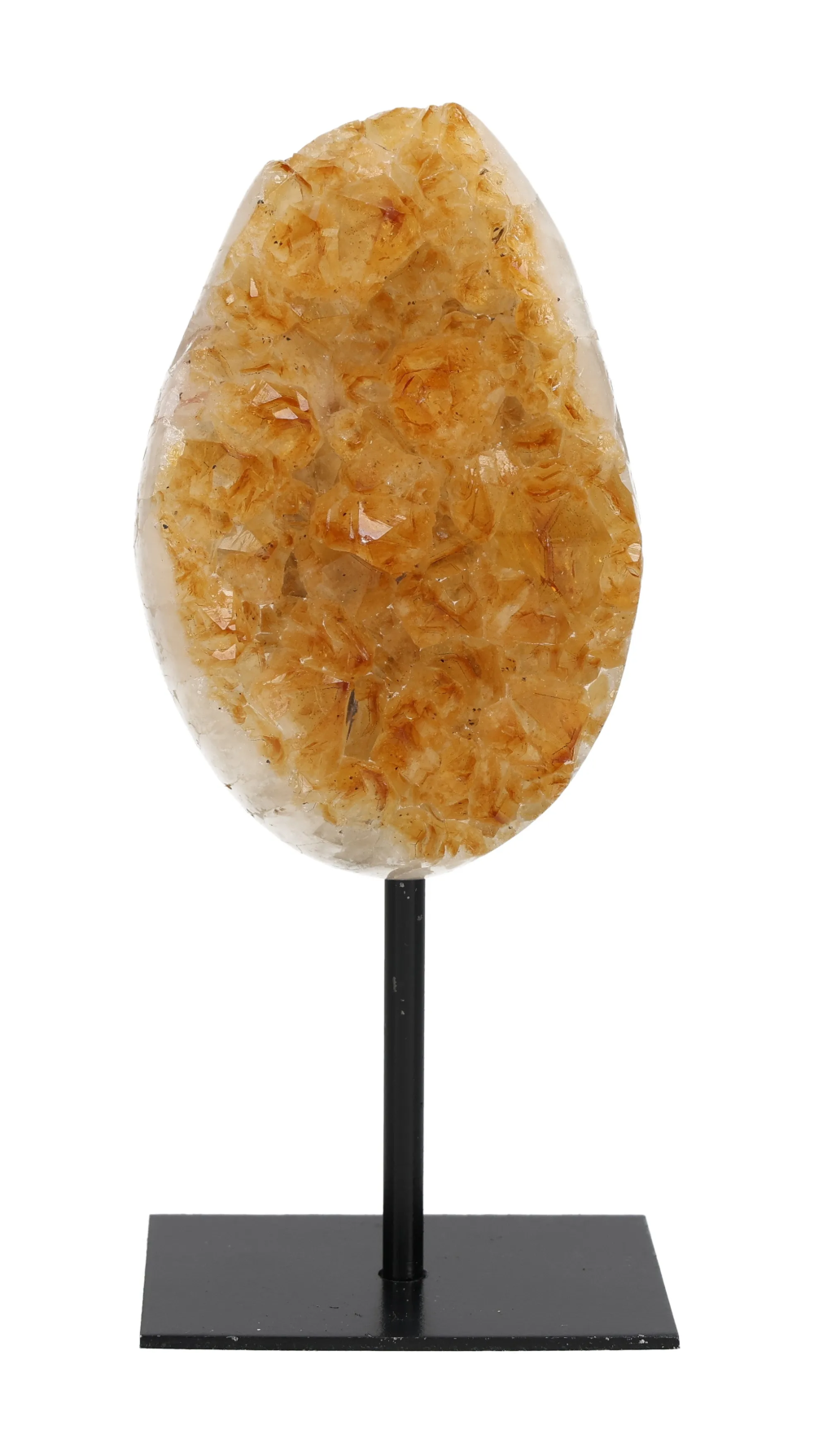 orbitvu|type:image2d