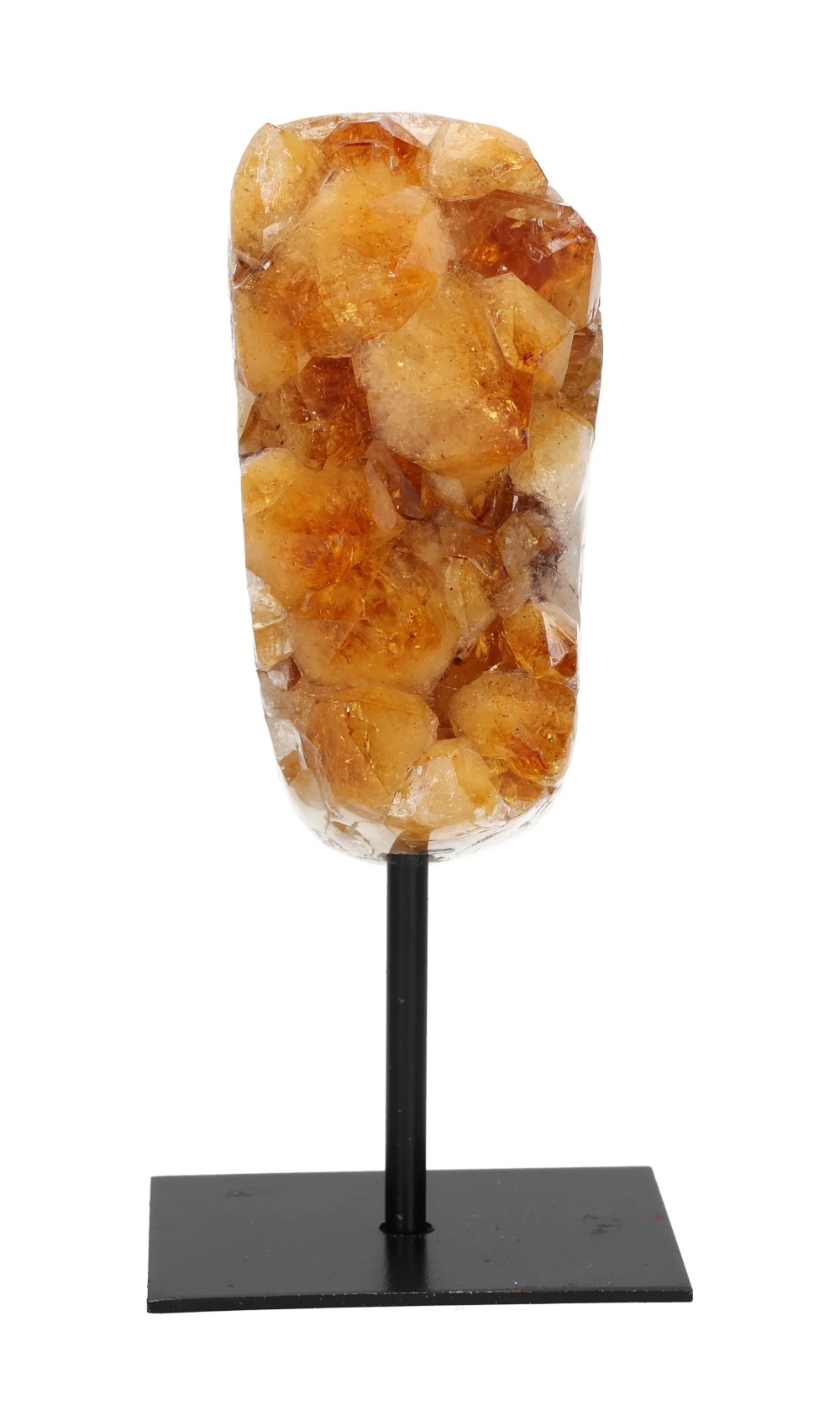 orbitvu|type:image2d