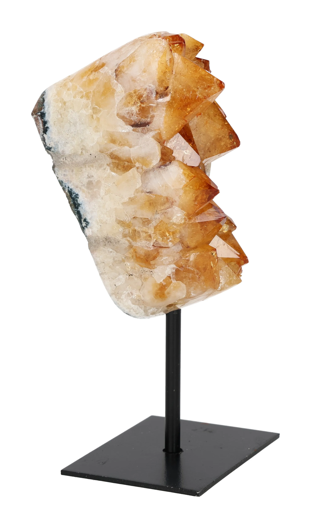 orbitvu|type:image2d