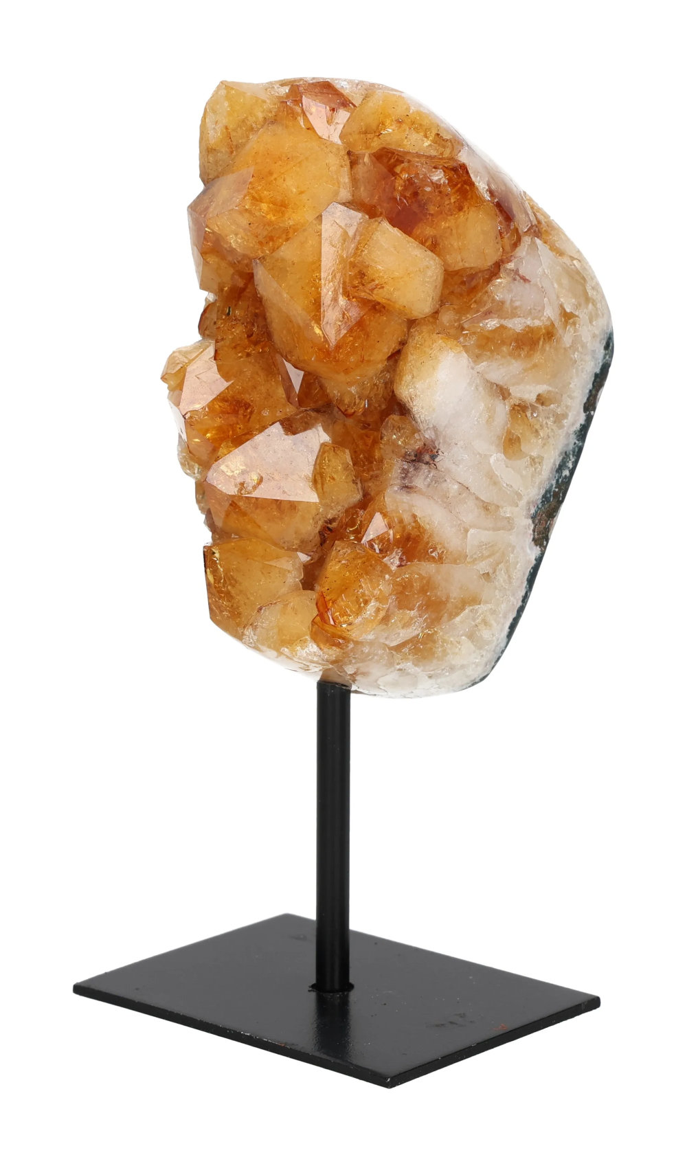 orbitvu|type:image2d