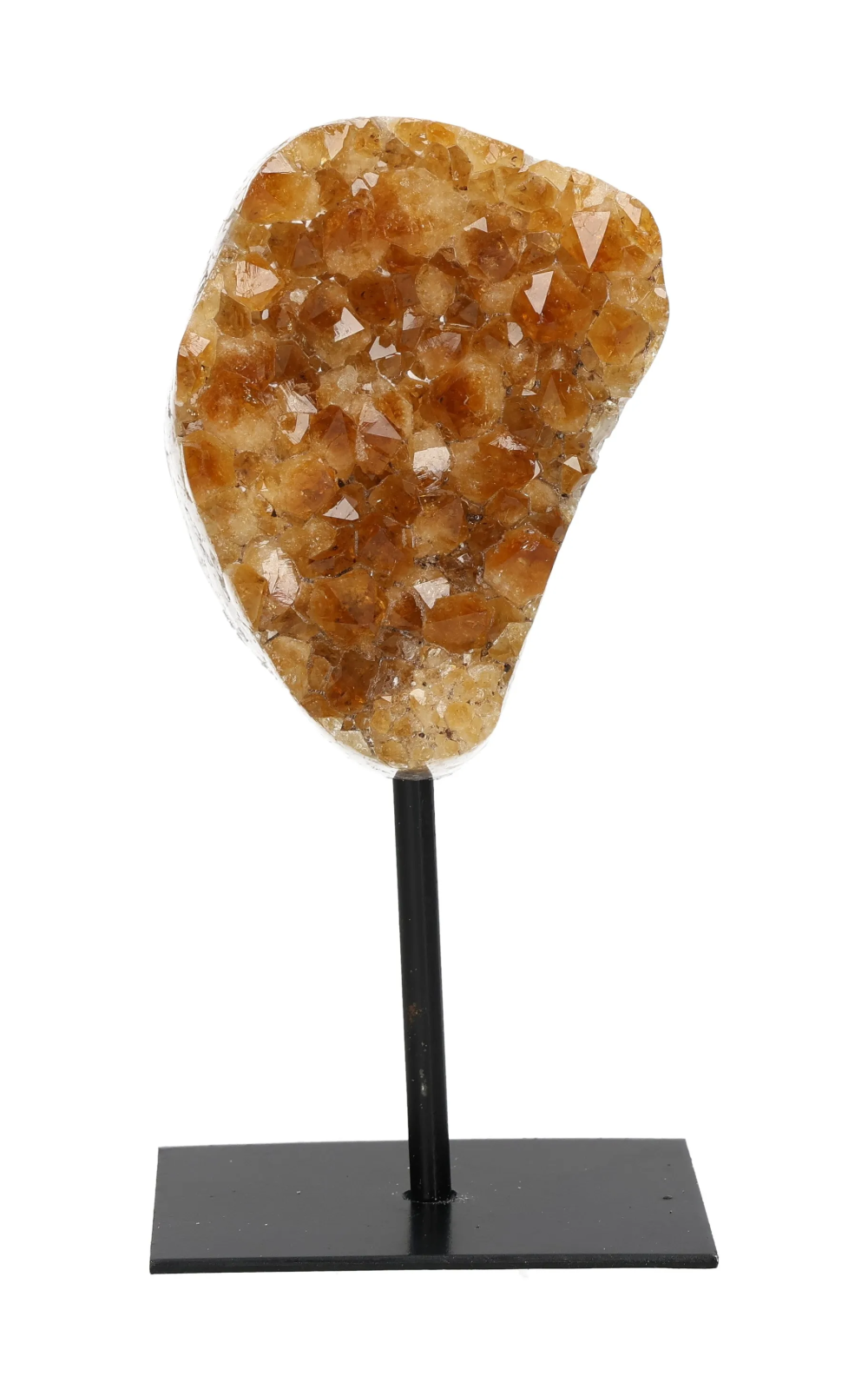 orbitvu|type:image2d