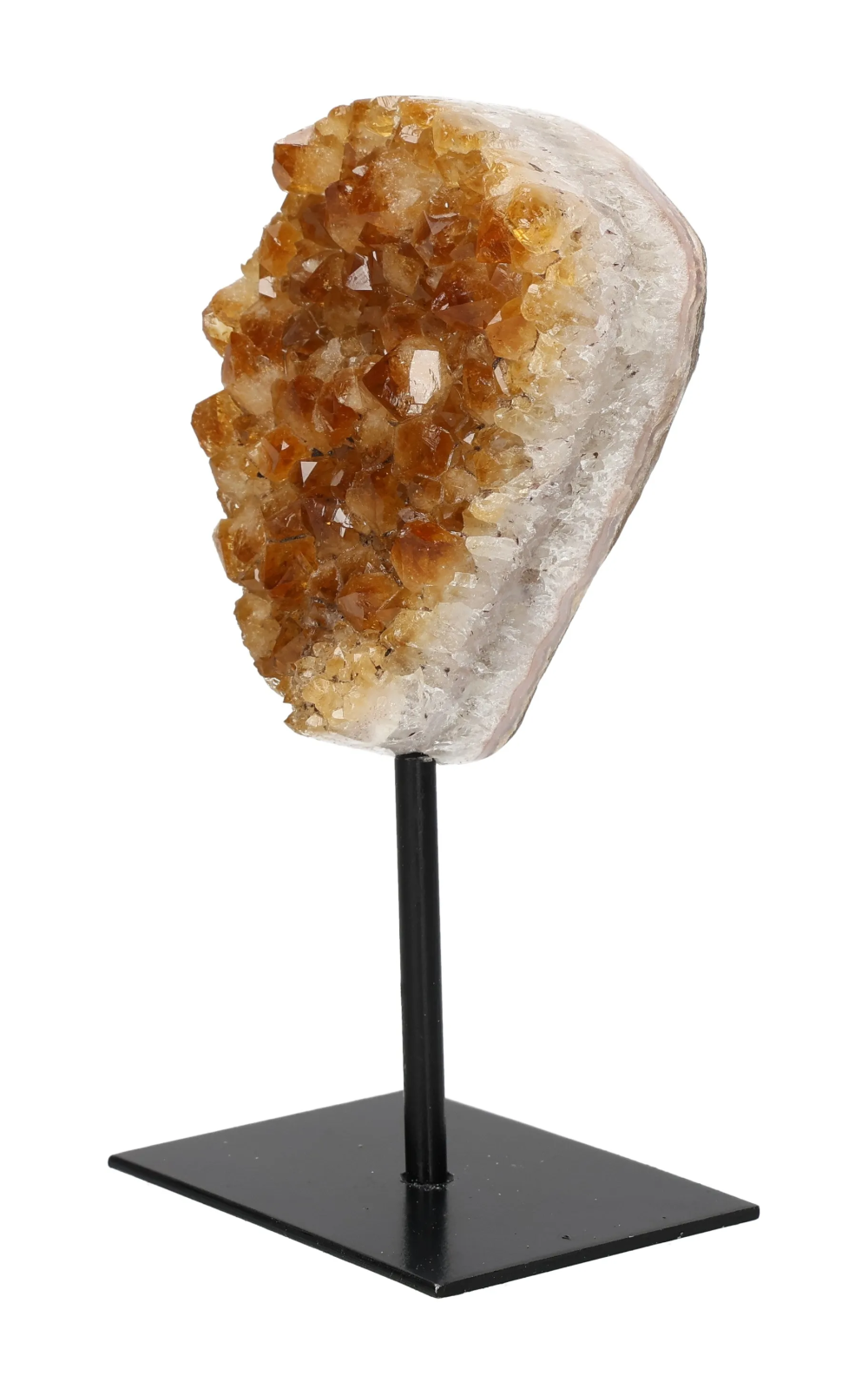 orbitvu|type:image2d