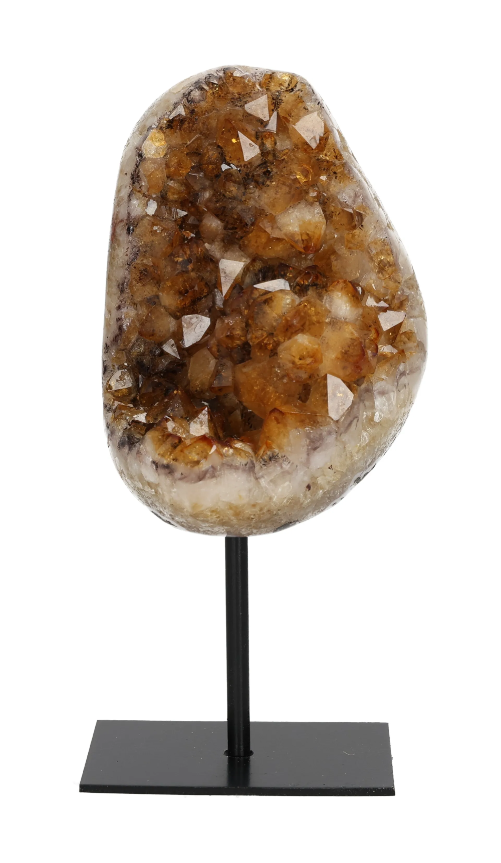 orbitvu|type:image2d