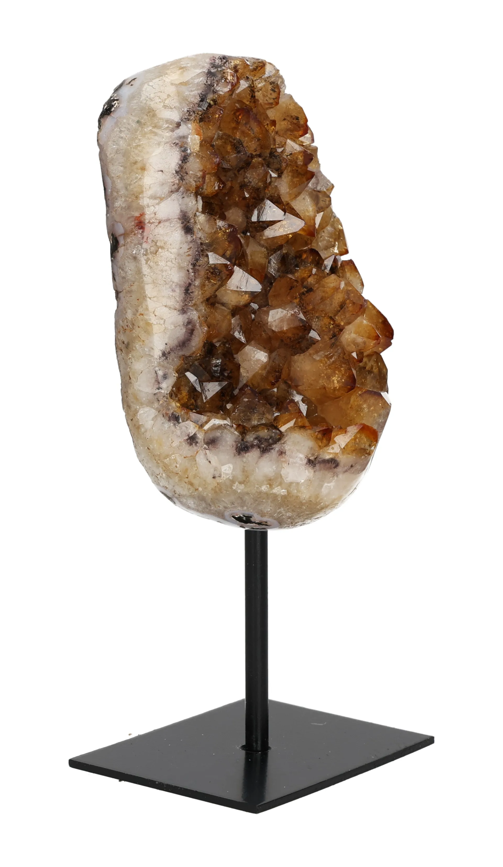 orbitvu|type:image2d