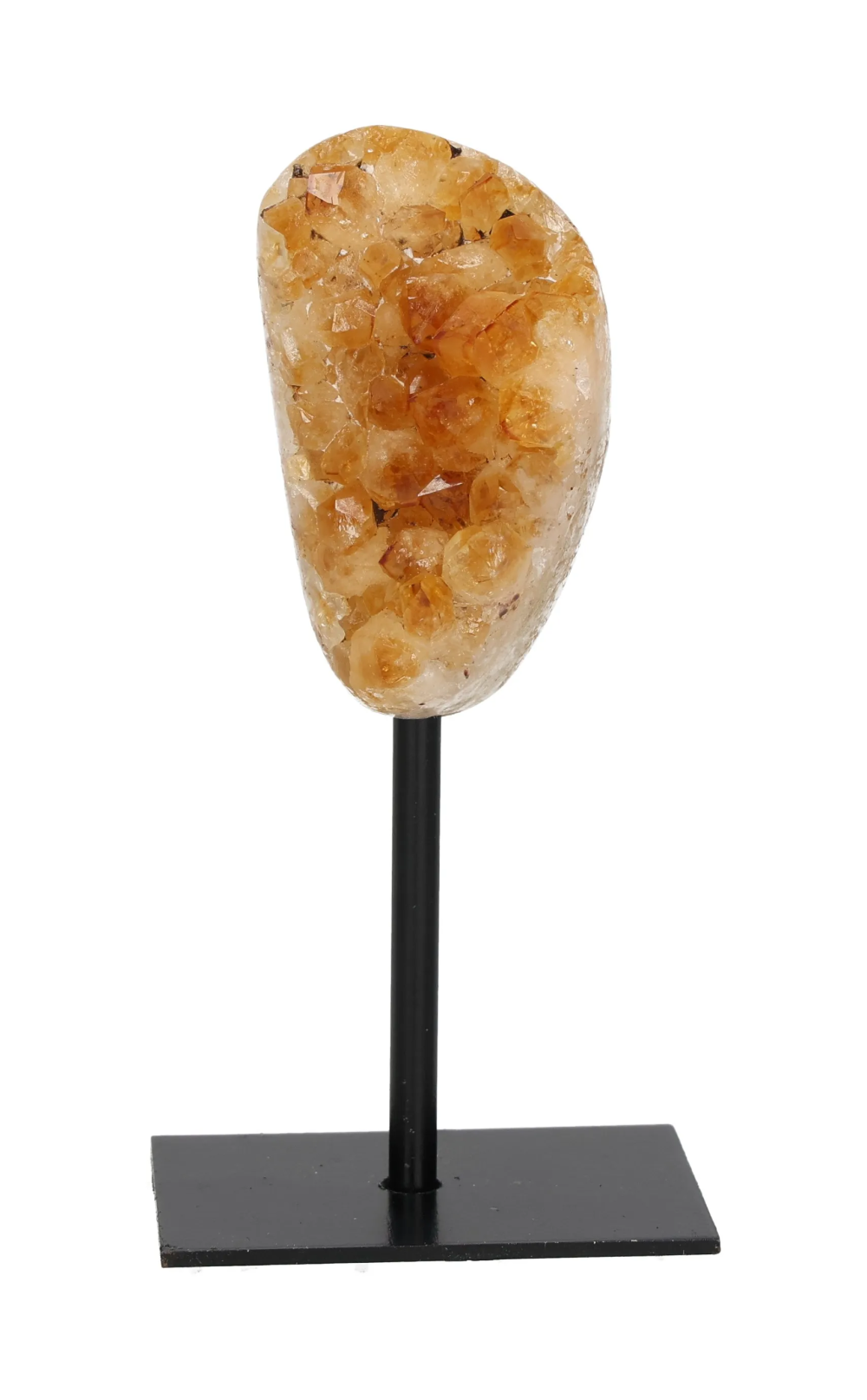 orbitvu|type:image2d