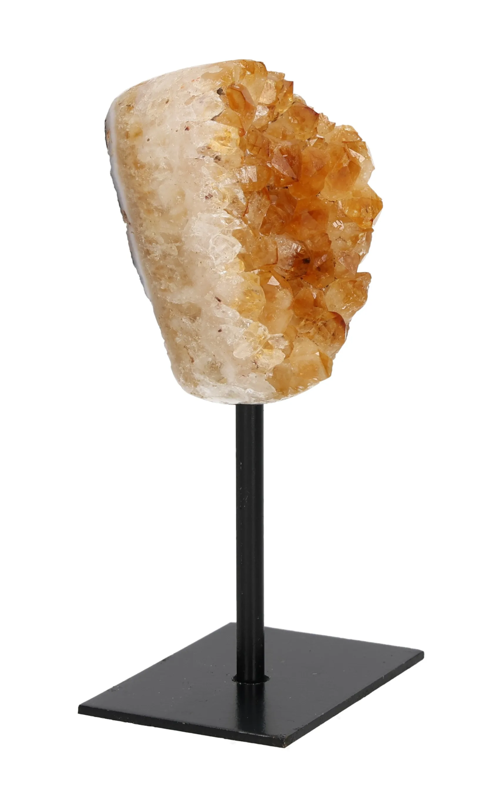 orbitvu|type:image2d