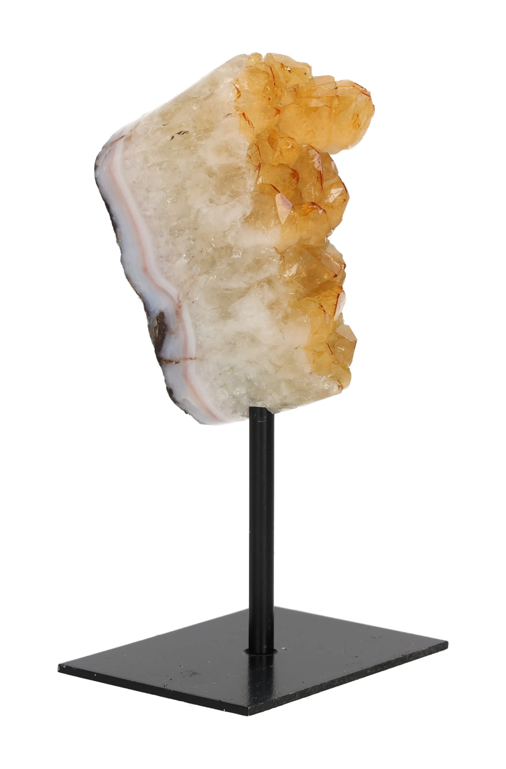 orbitvu|type:image2d