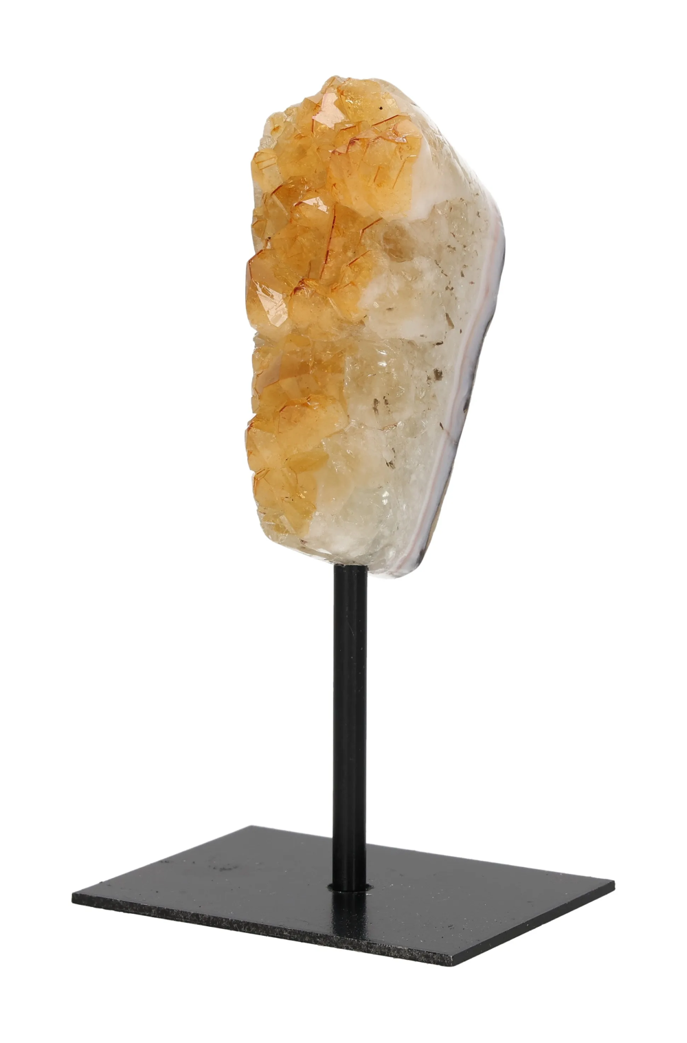 orbitvu|type:image2d