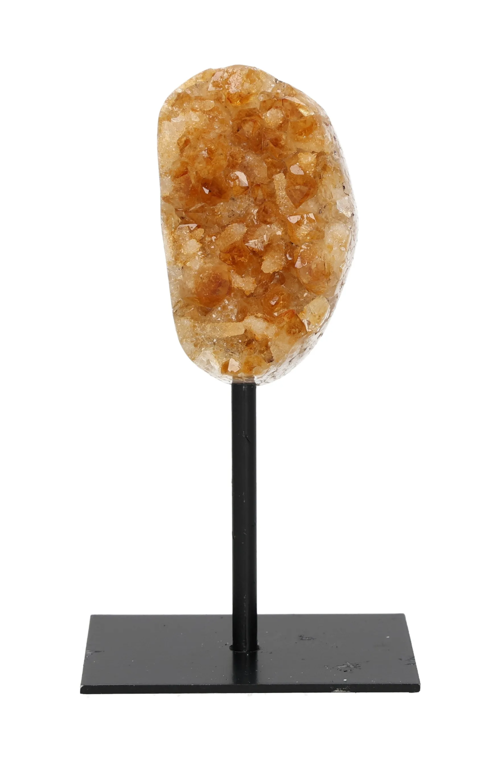 orbitvu|type:image2d