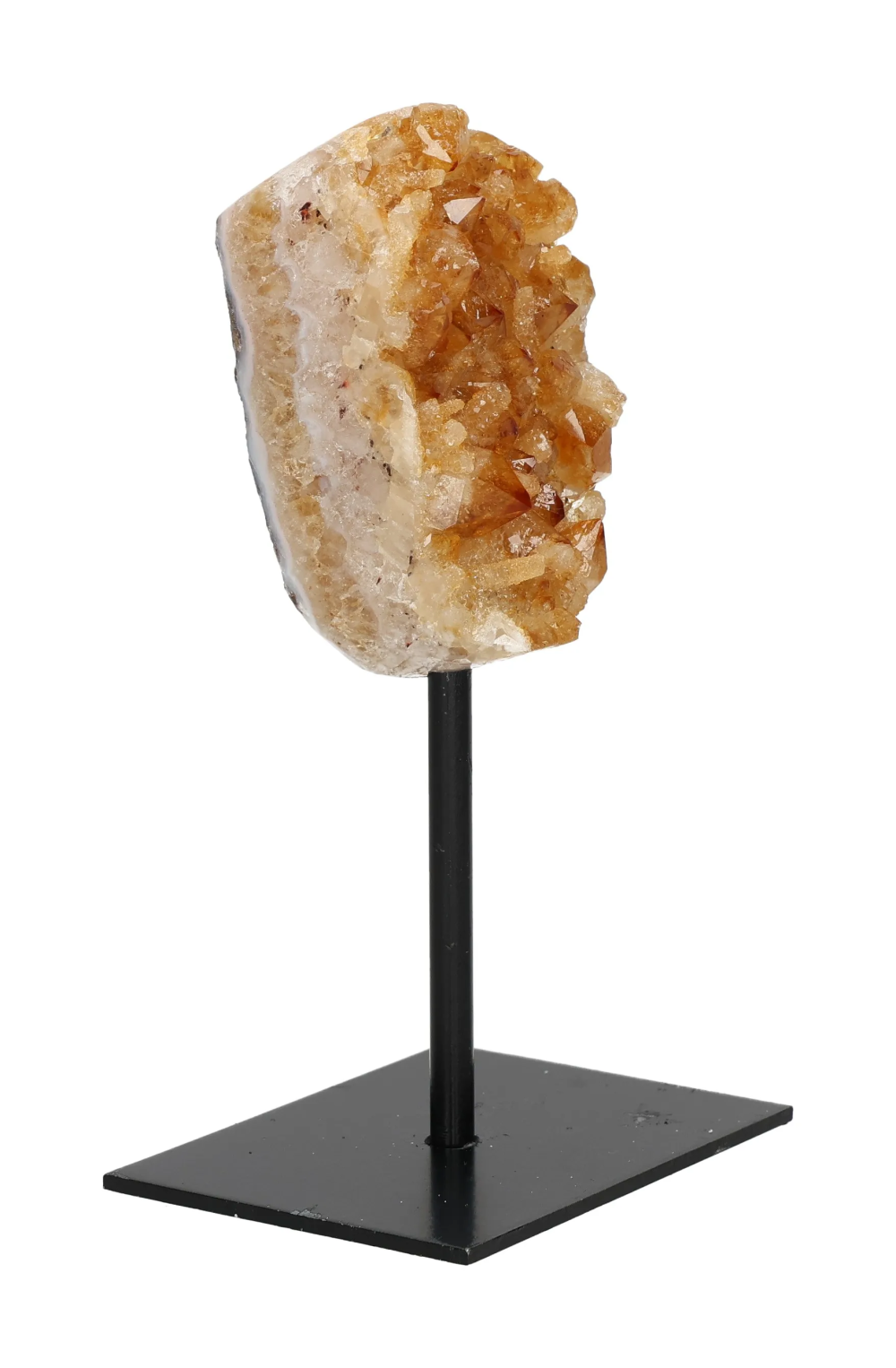 orbitvu|type:image2d