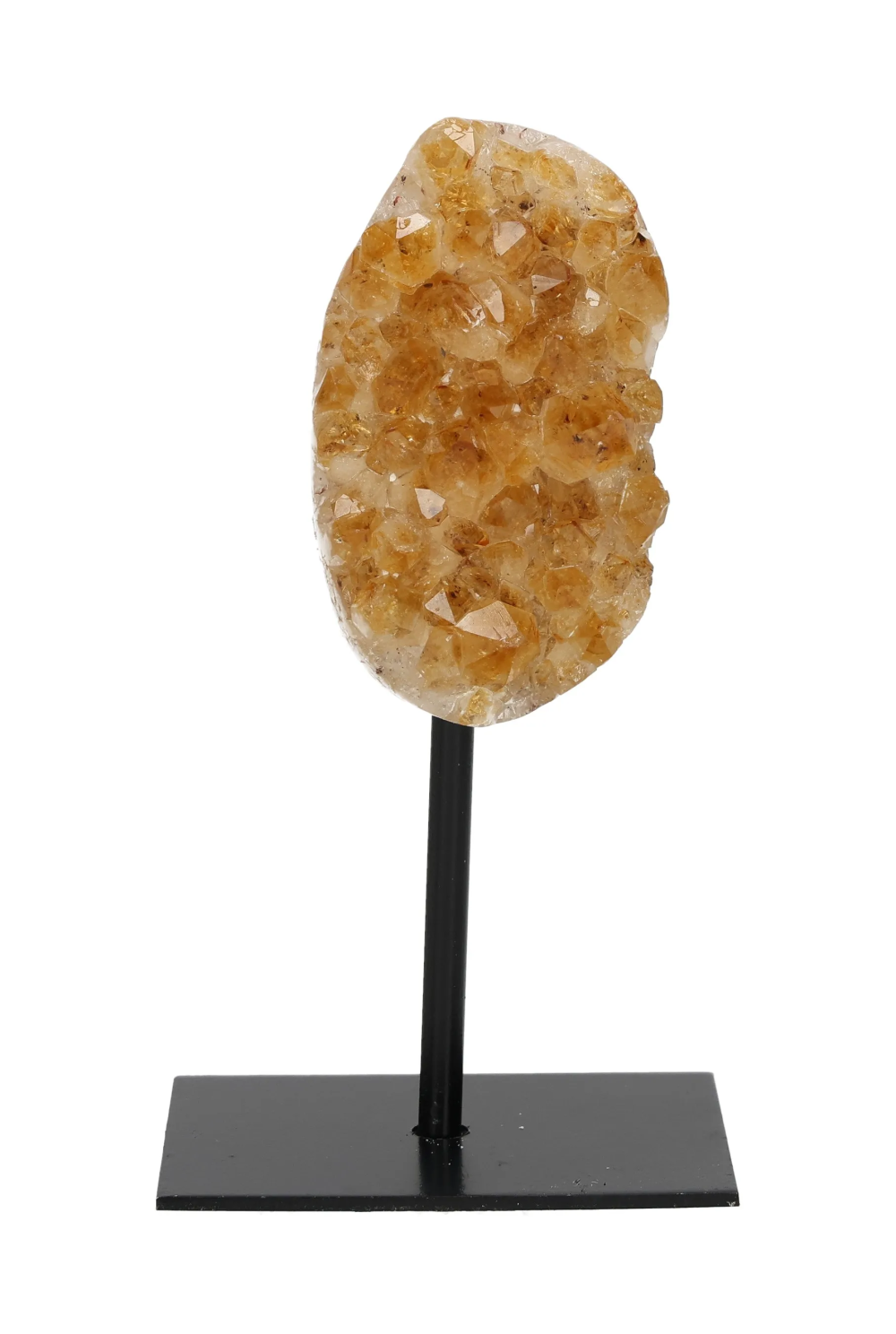 orbitvu|type:image2d