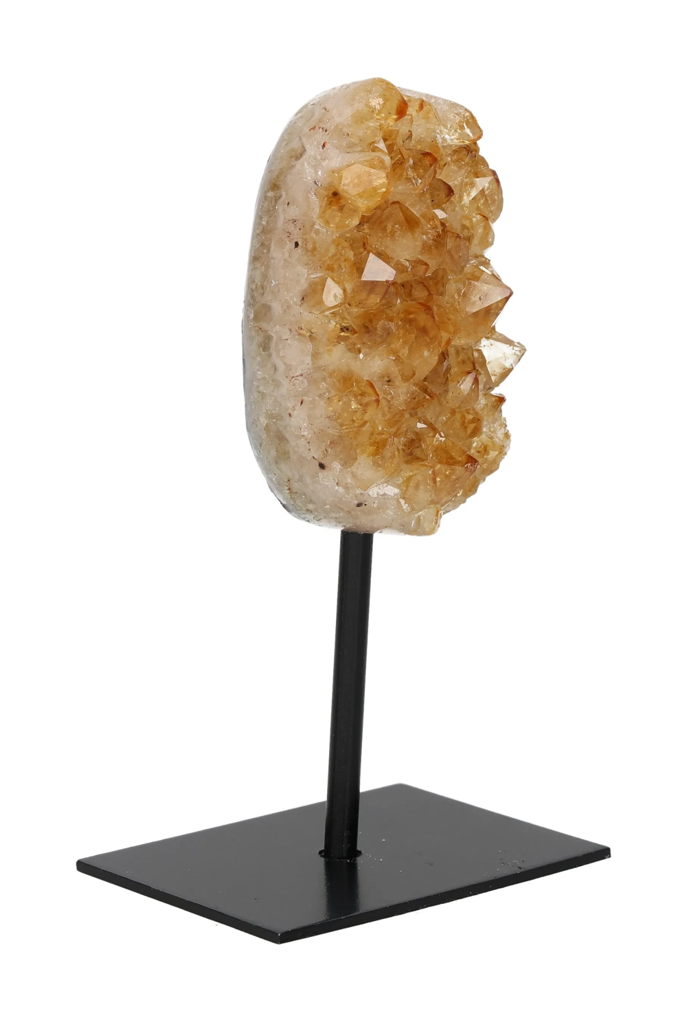 orbitvu|type:image2d