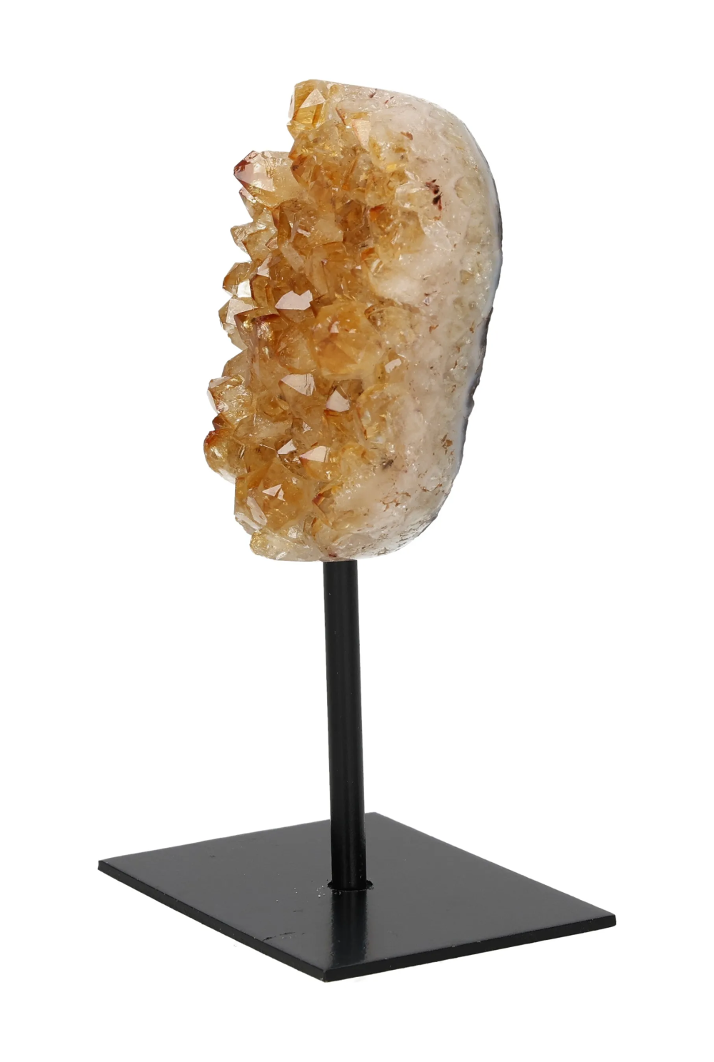 orbitvu|type:image2d