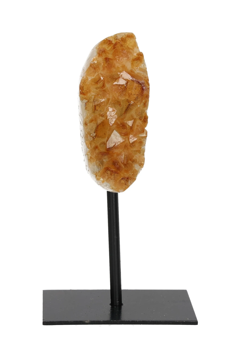 orbitvu|type:image2d