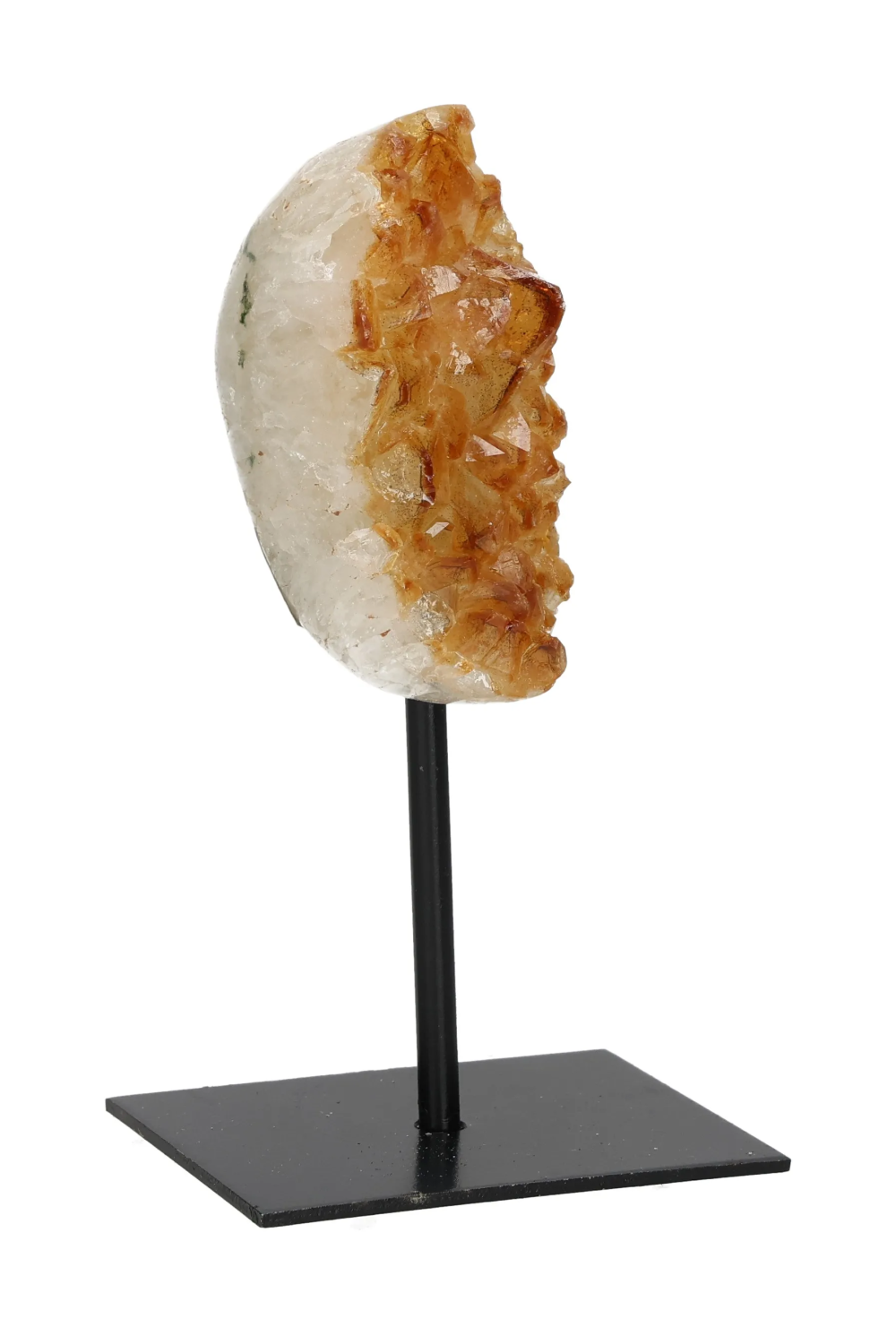 orbitvu|type:image2d