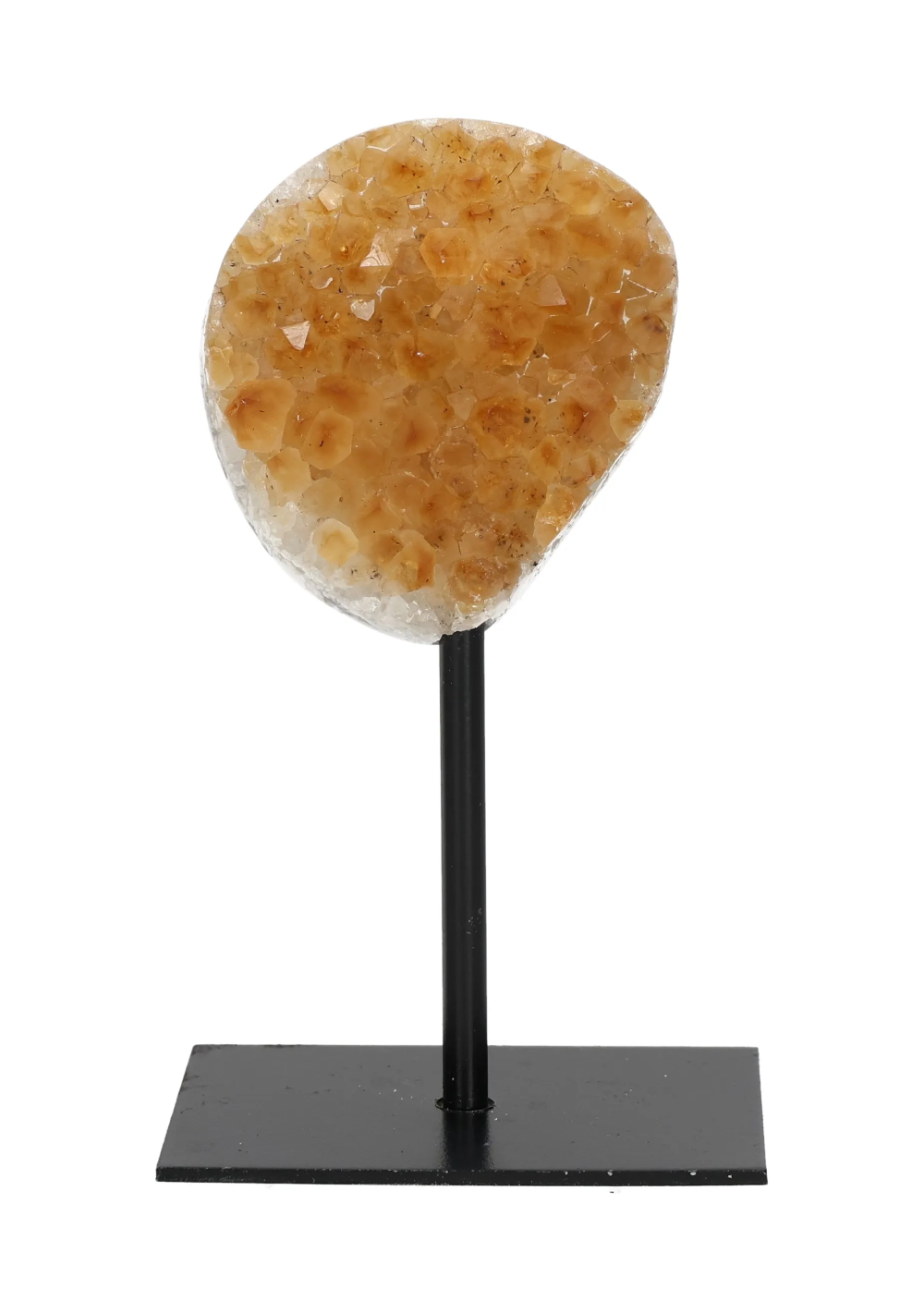 orbitvu|type:image2d